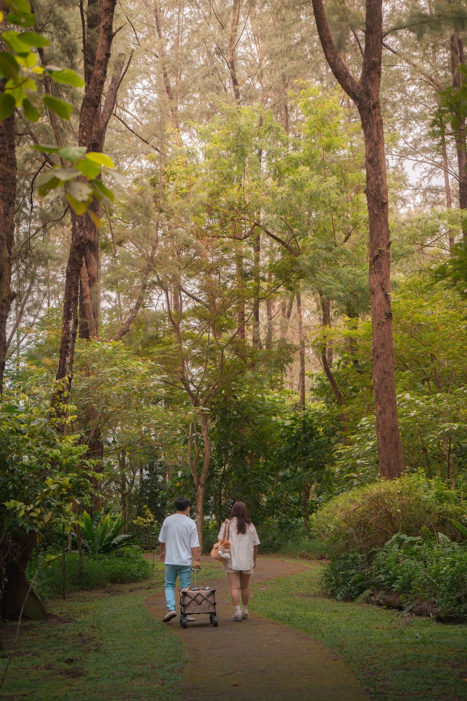 Couple walking along a lush forest path pulling a cart among tall trees and green foliage.
