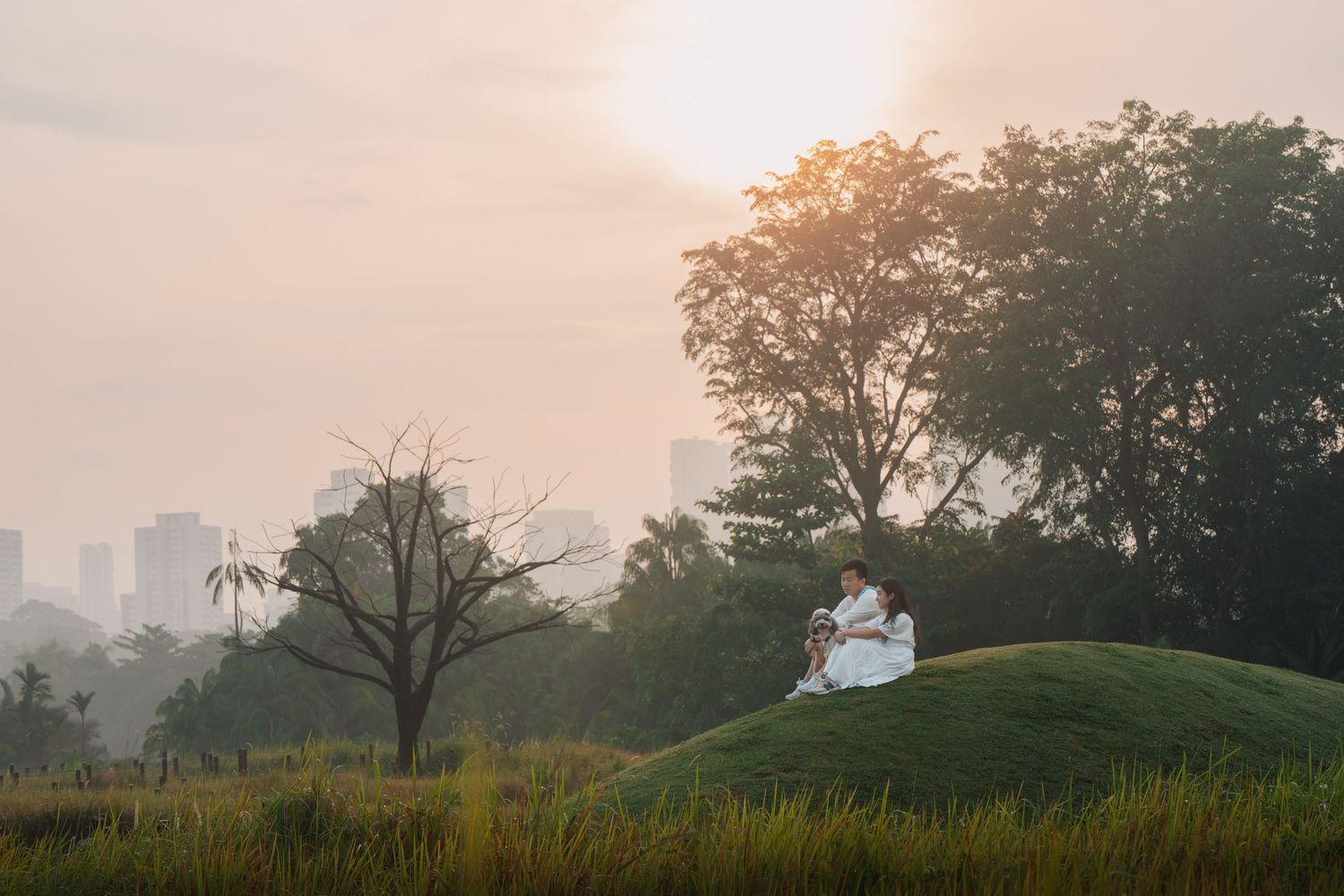 Couple in white attire sitting on a grassy hill at sunset with city skyline and trees in background.