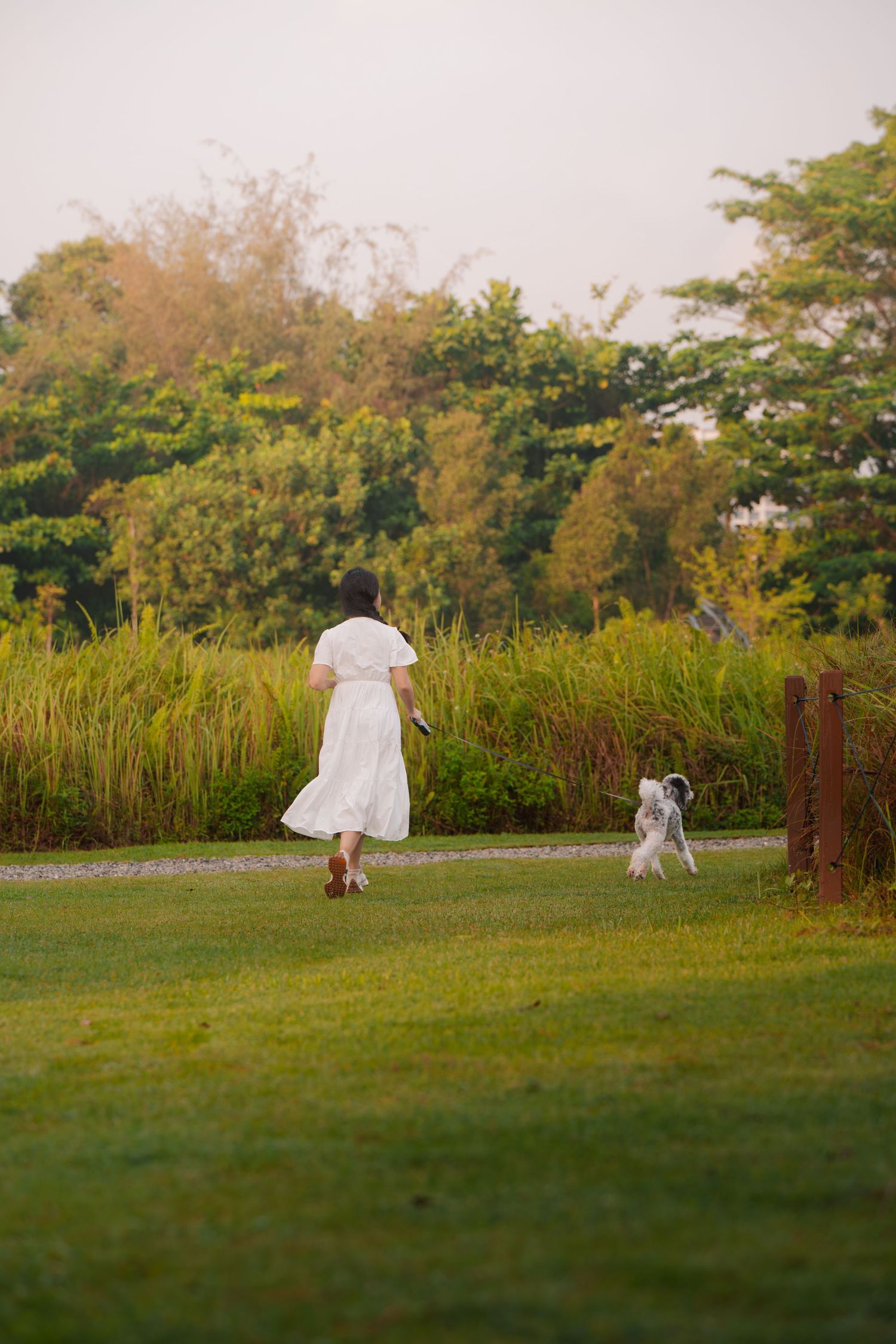 Woman in white dress playing with small white dog on lush green lawn surrounded by trees.