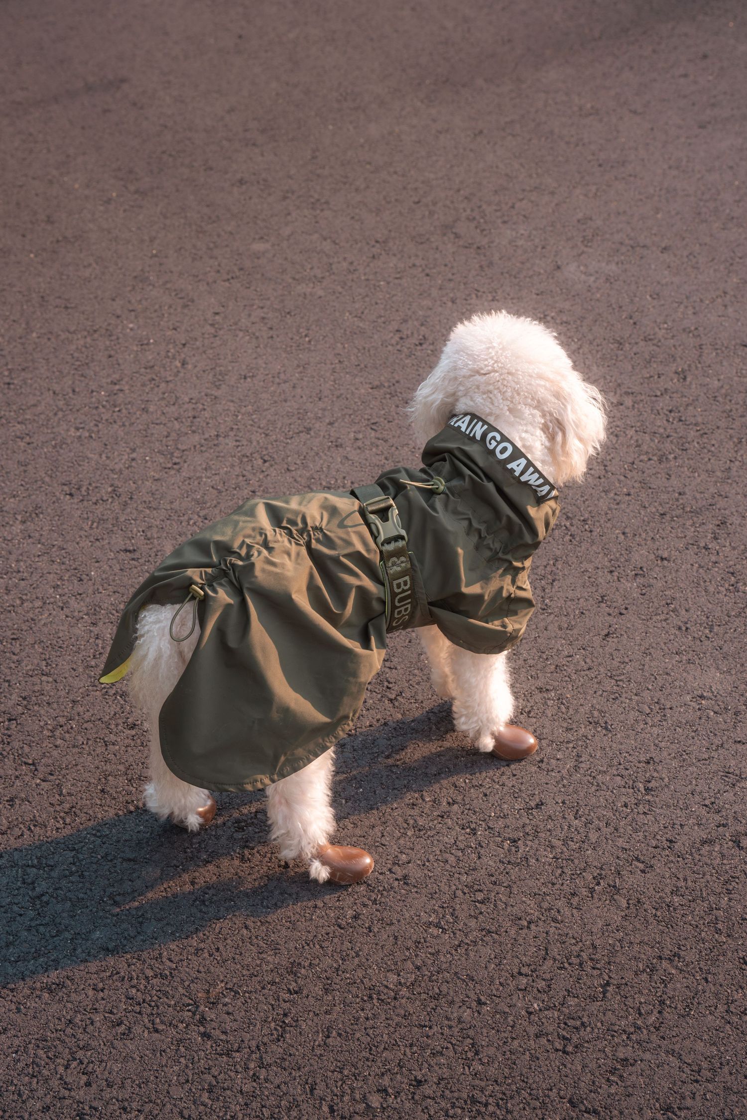 Small white dog wearing a green army-style vest walks on pavement casting a shadow in sunlight.