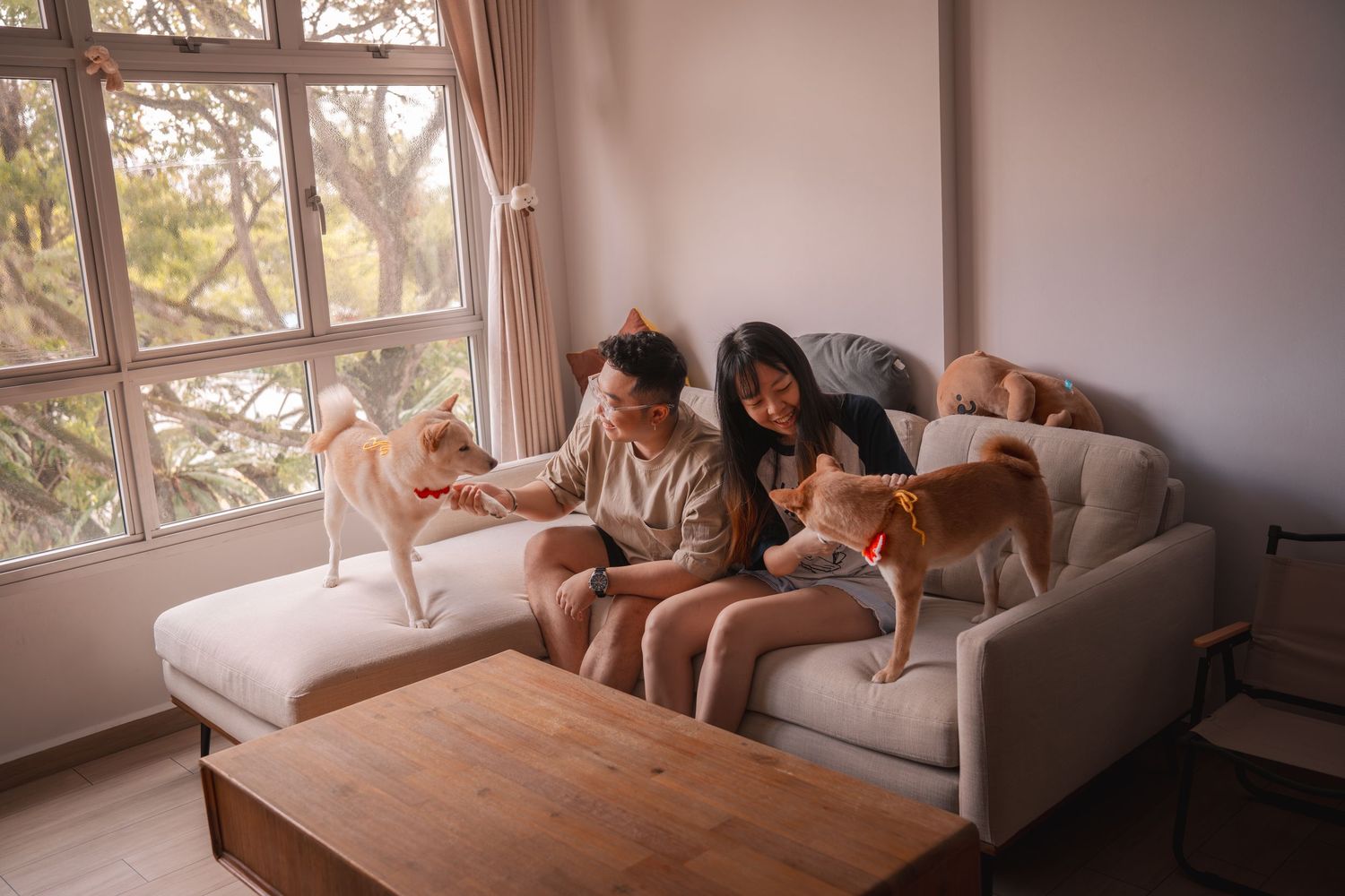 Two people sitting on a cozy sofa with multiple dogs in a bright living room with large windows.