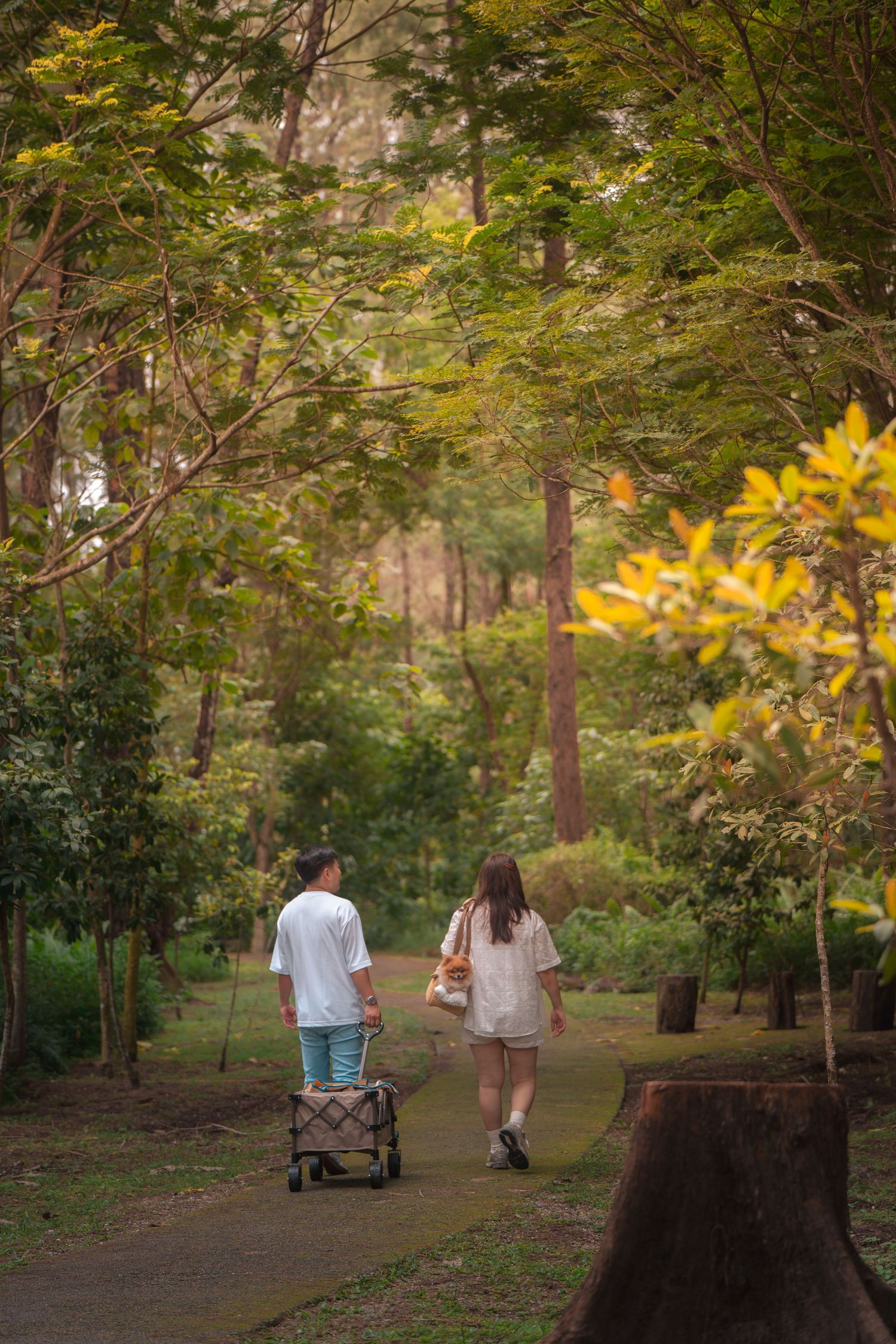 A couple walks along a lush green forest path, man pulling a cart while woman carries a bag.