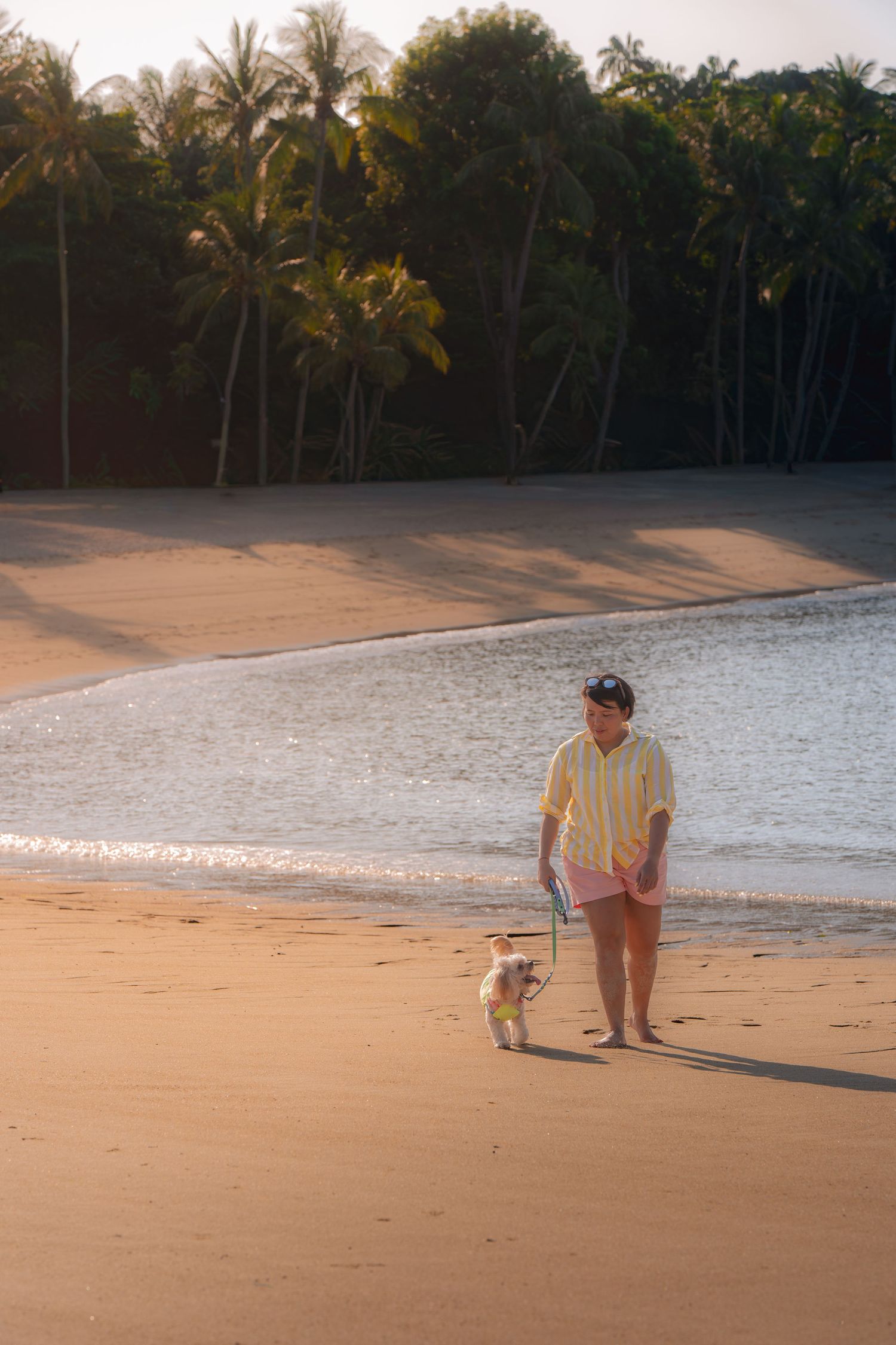 Person walking a small dog on a tropical sandy beach at sunset with palm trees in the background.
