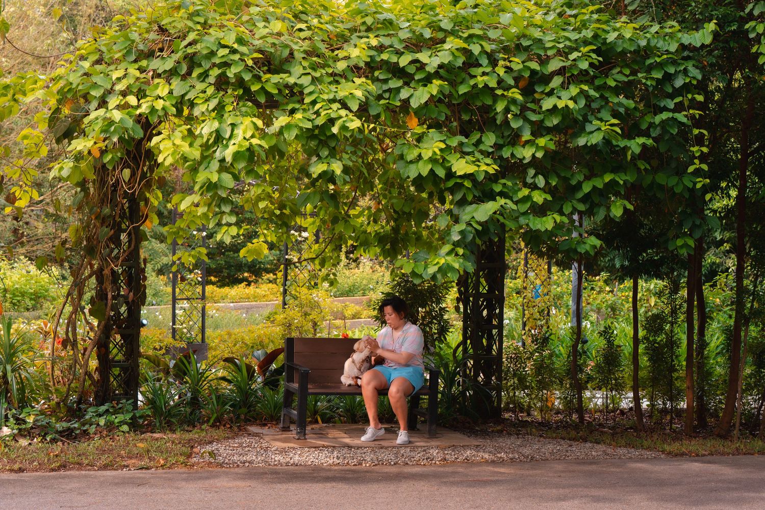 A person relaxes on a wooden bench under a lush green garden archway.