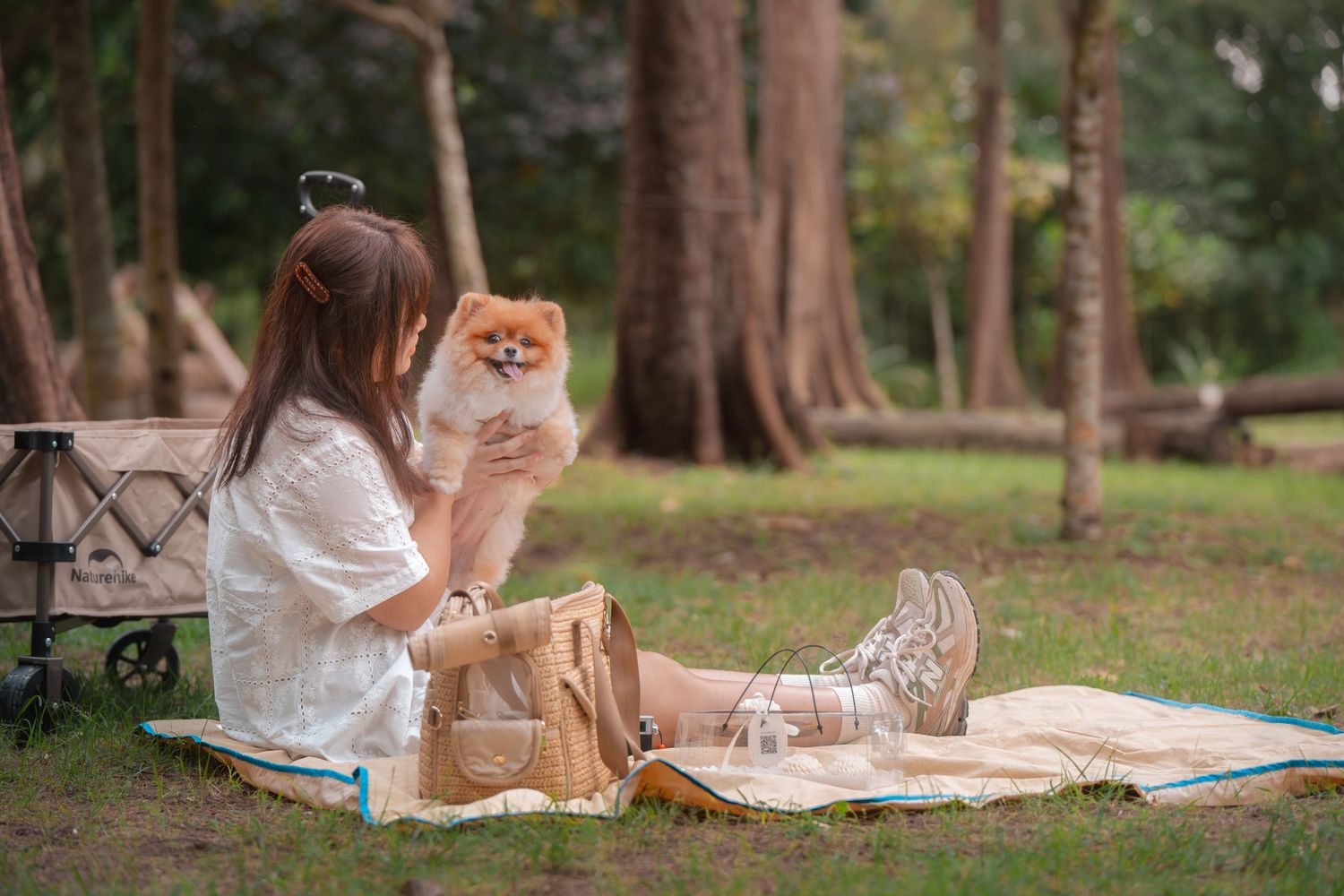 Young woman in white dress holding a Pomeranian dog on a picnic blanket in a lush green park.