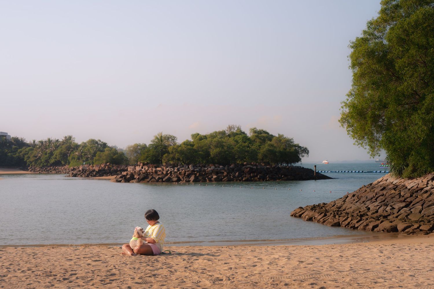 Person sitting alone on a sandy beach beside calm waters with lush green mangroves and a distant bridge at sunset.
