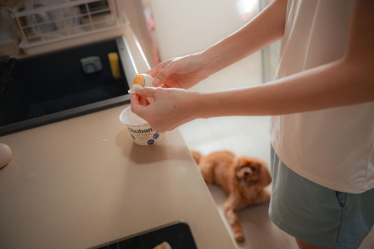 Person preparing food in a bowl on a kitchen counter with a fluffy brown dog resting in the background.