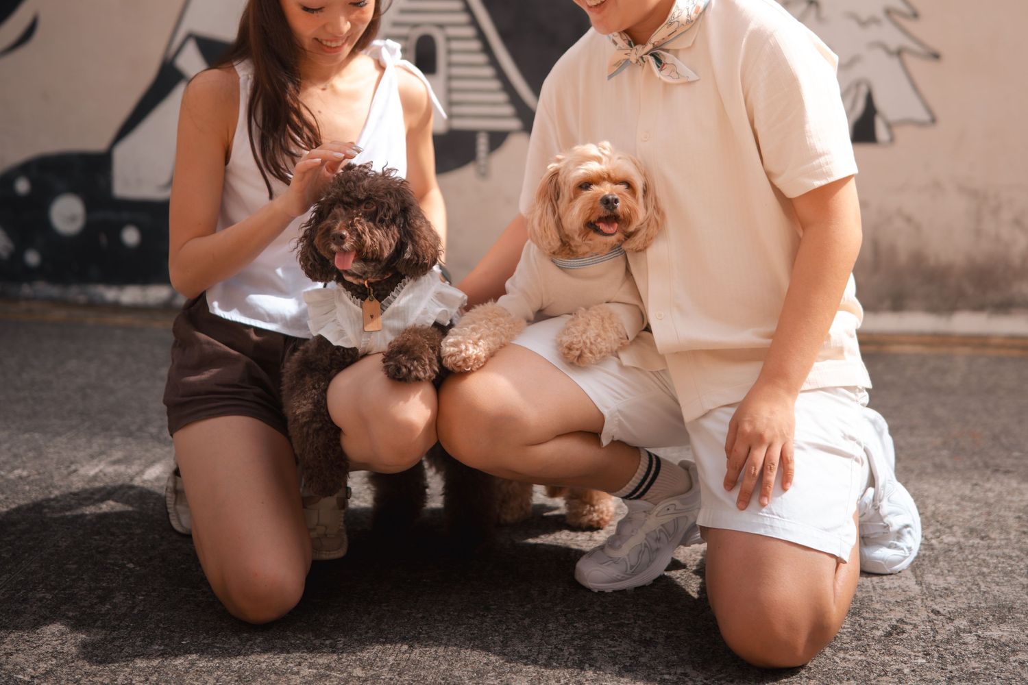 Two small dogs playing and interacting with their owners on the ground.