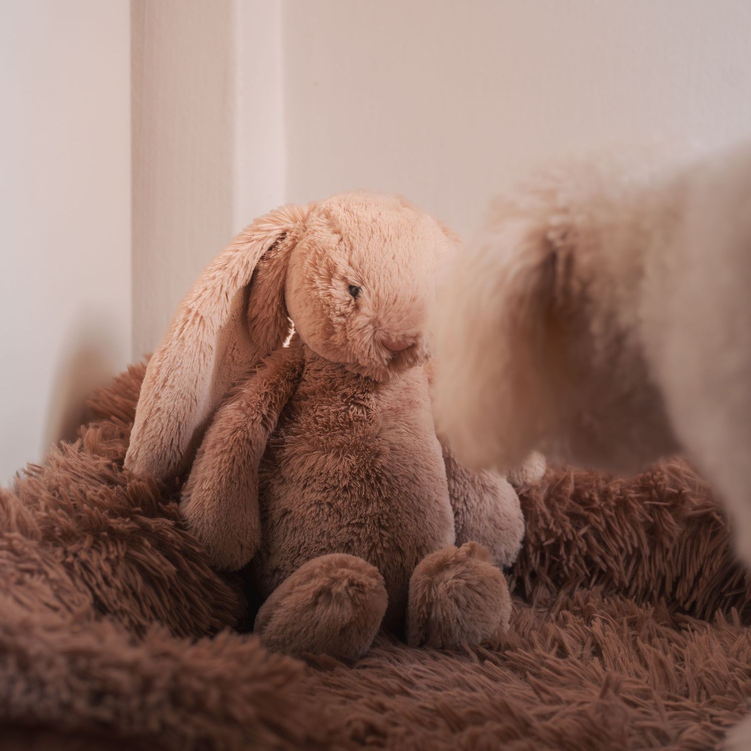 Close-up view of brown plush fabric texture with soft lighting.