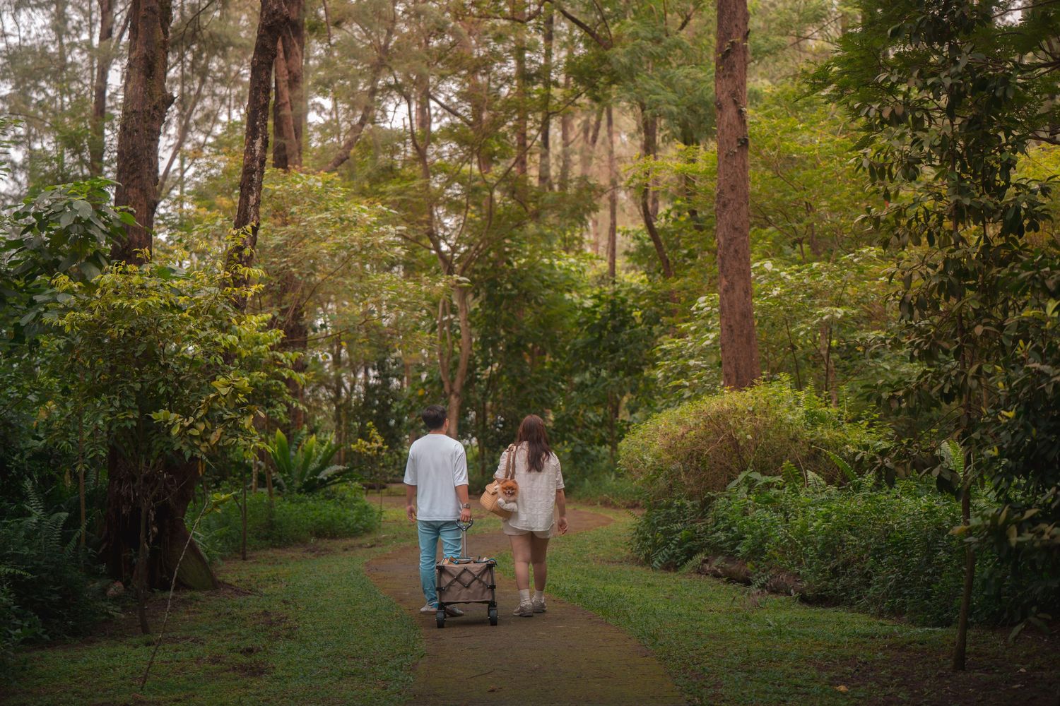 Couple walking on a lush garden path pushing a stroller surrounded by tall trees and green foliage.