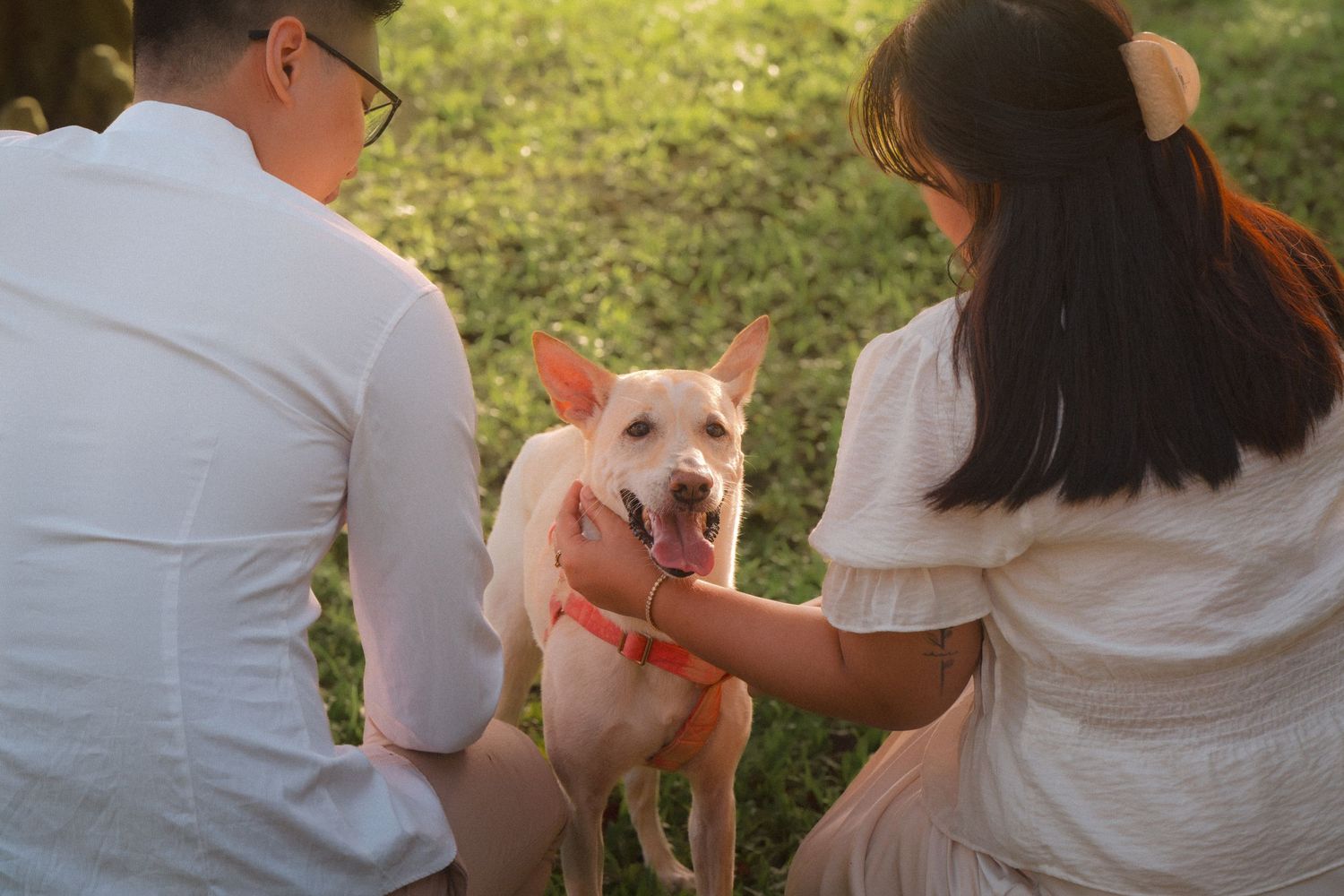 A group of people sit on grass in a park while a small brown and white dog interacts with them.