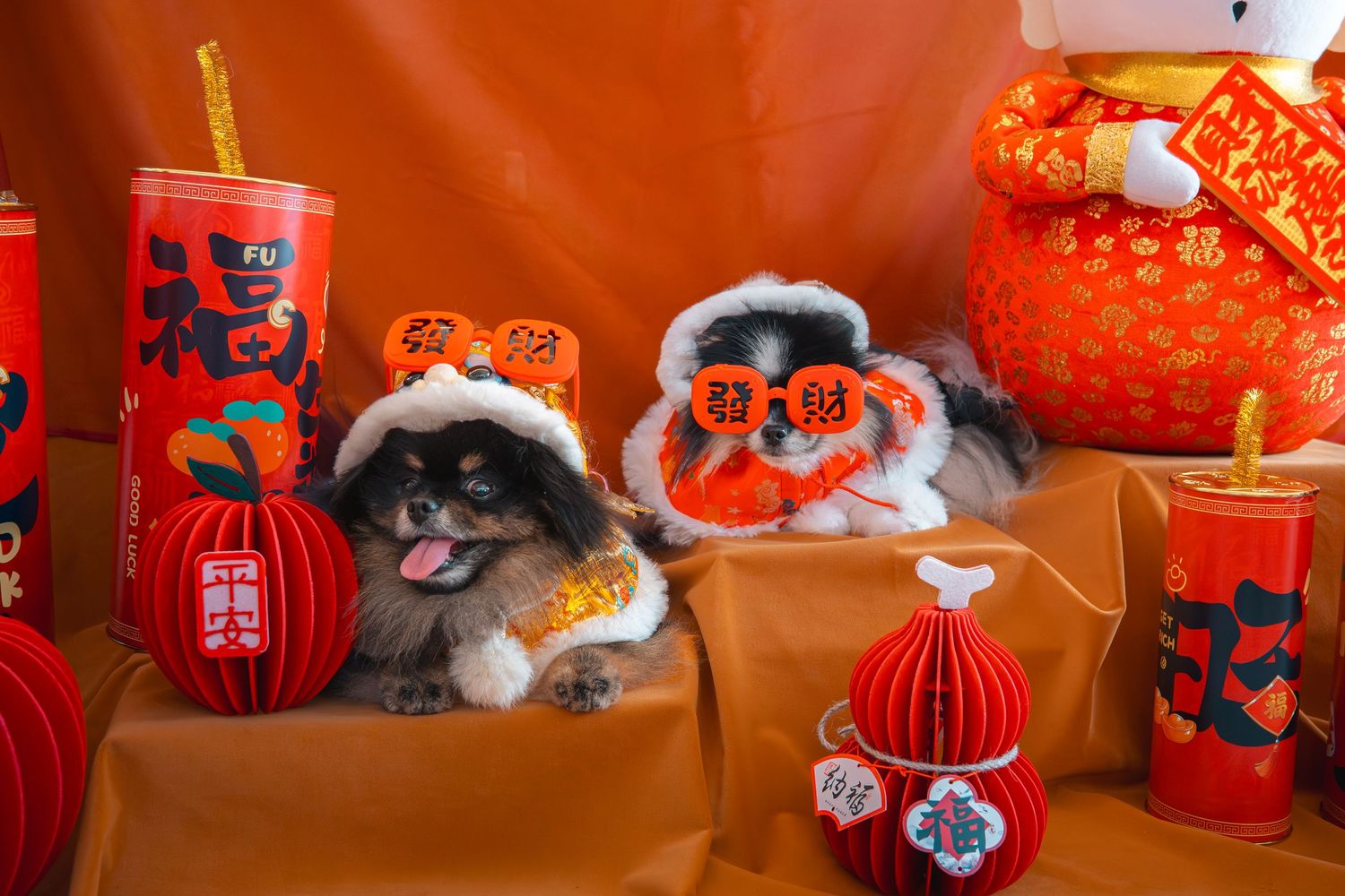 Two small dogs in festive hats surrounded by Chinese New Year decorations, red lanterns, and lucky charms on orange background.