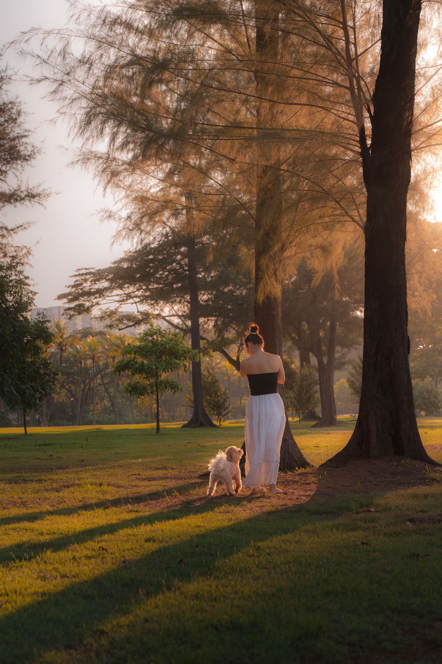 Woman in white dress walking small fluffy dog at sunset in a lush green park with tall trees casting long shadows.