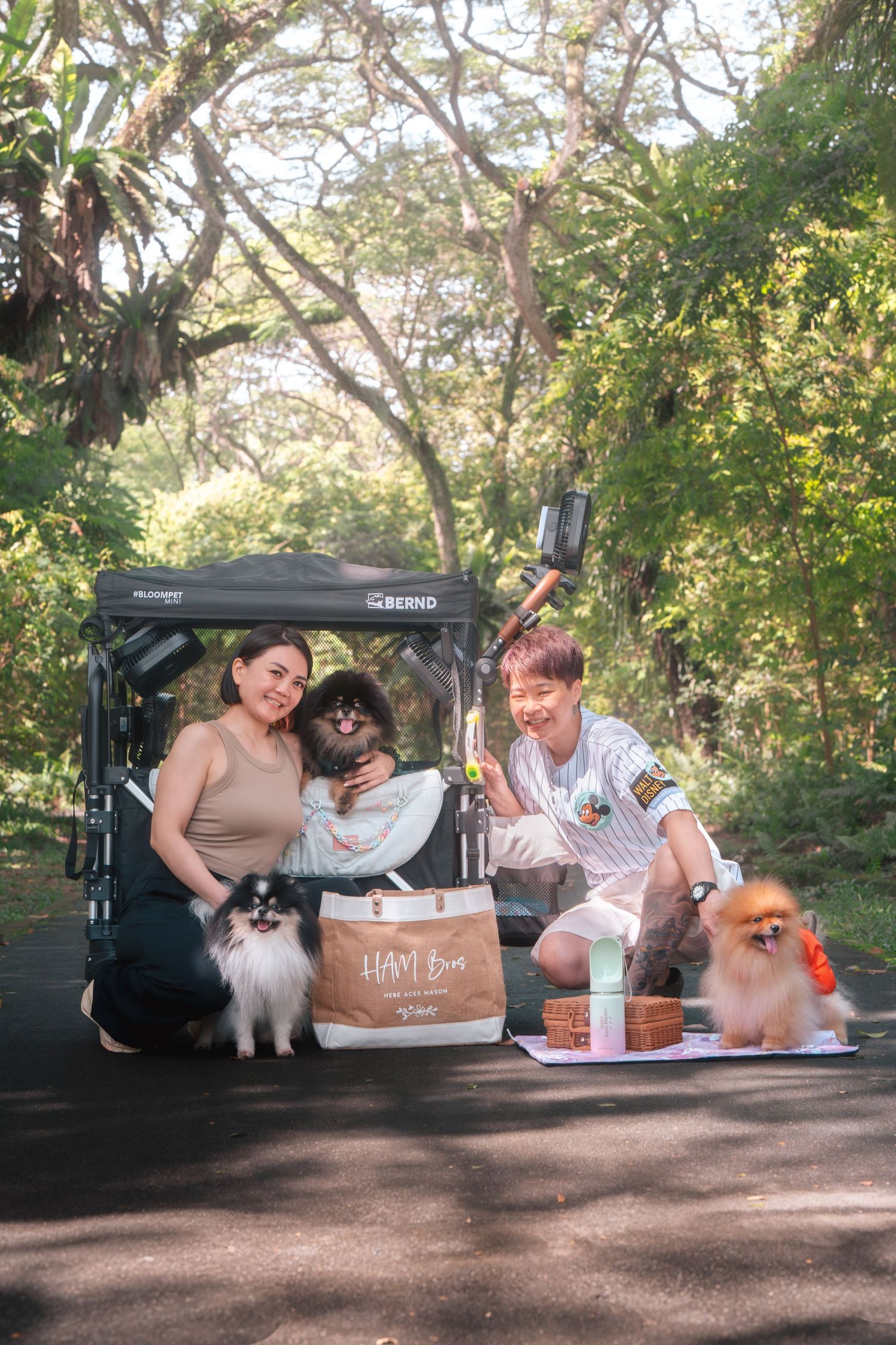 Group relaxes in shade under trees with small dogs and picnic items on sunny afternoon.