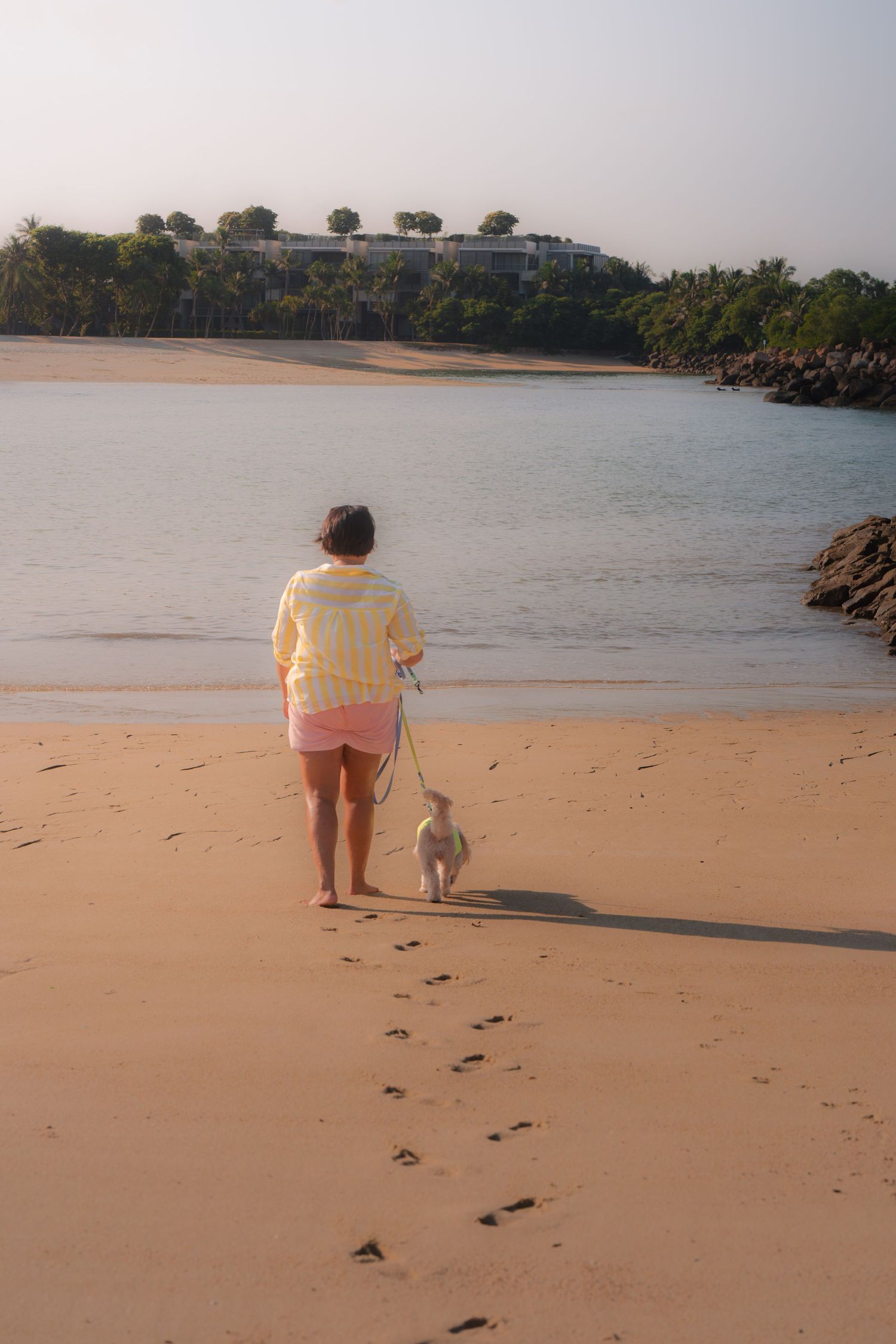 Woman walking small dog on leash along sandy beach at sunset, with tropical resort and palm trees visible across calm water.