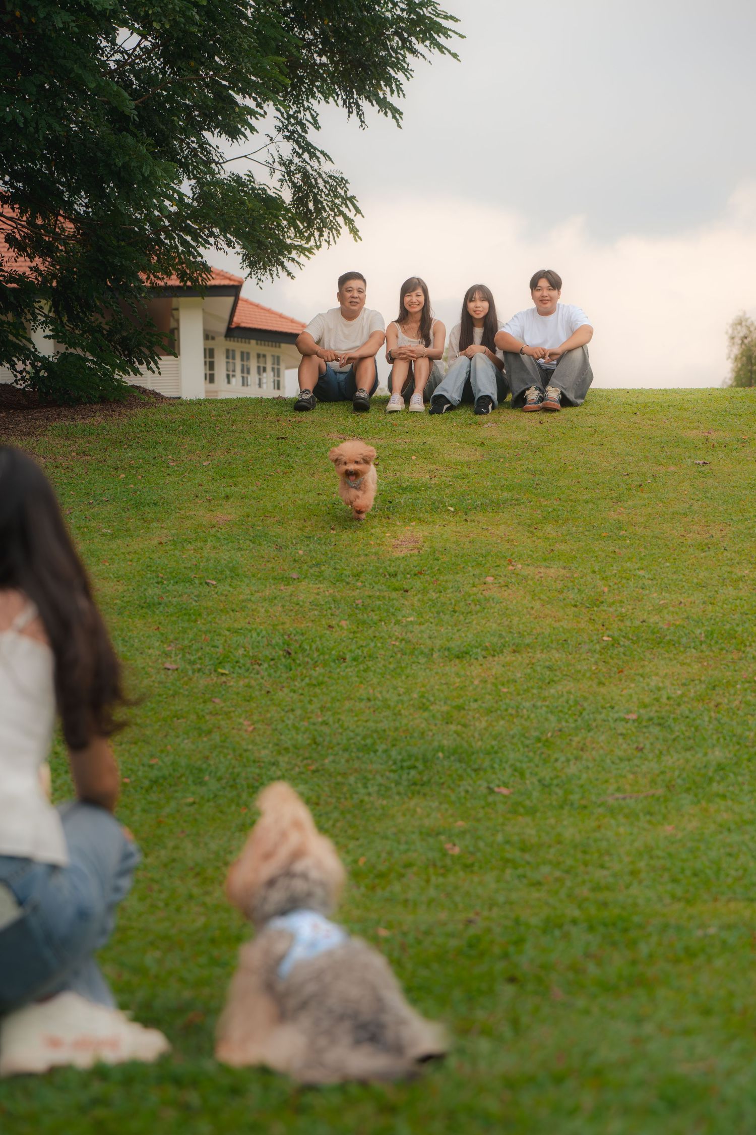 Group of friends sitting on green grass lawn watching a small brown dog run toward them outdoors.