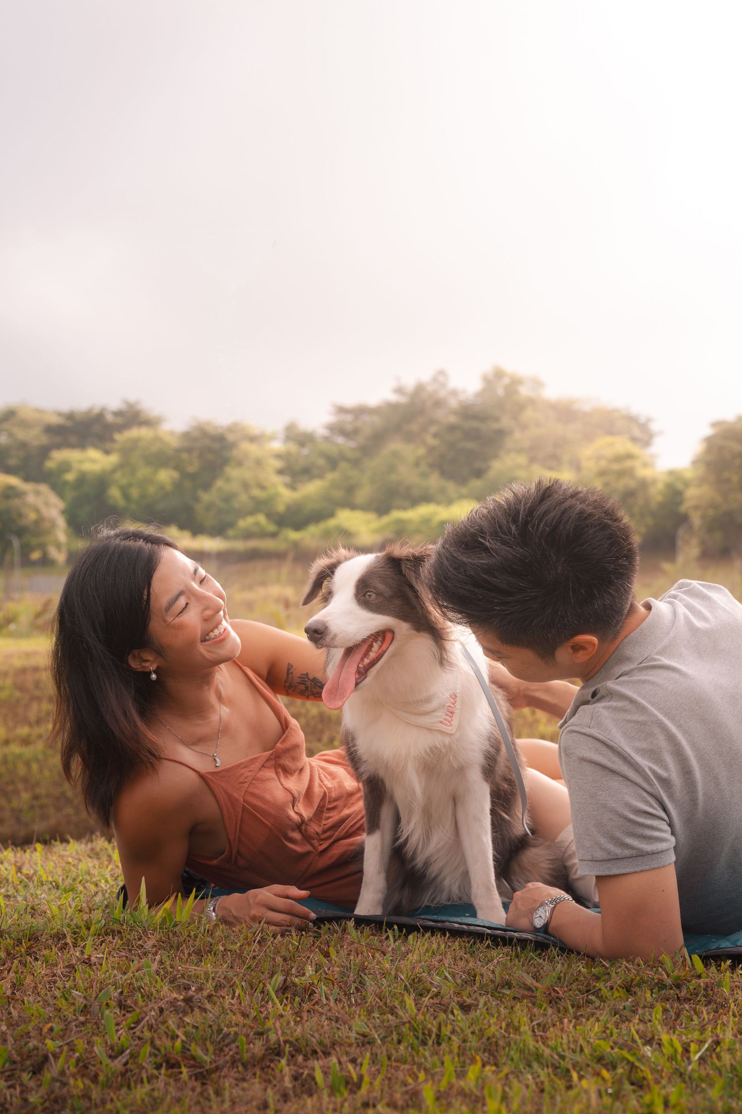 A happy couple lies on grass in a park, smiling and bonding with their Border Collie dog on a sunny day.