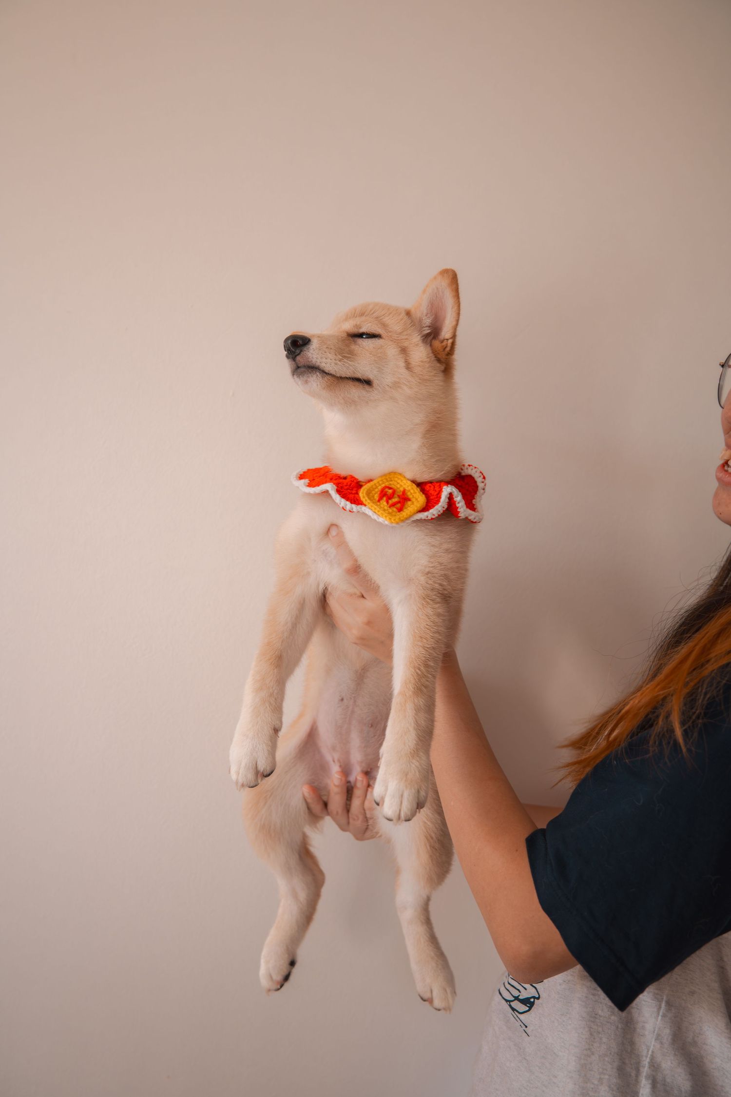 A woman holds up a cute Shiba Inu puppy wearing a colorful red and yellow collar against a neutral background.