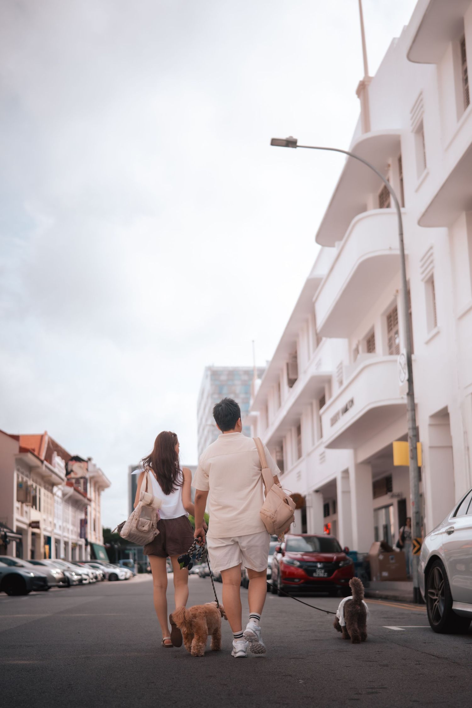 Couple walking their dogs on a street lined with white buildings and parked cars in an urban setting.