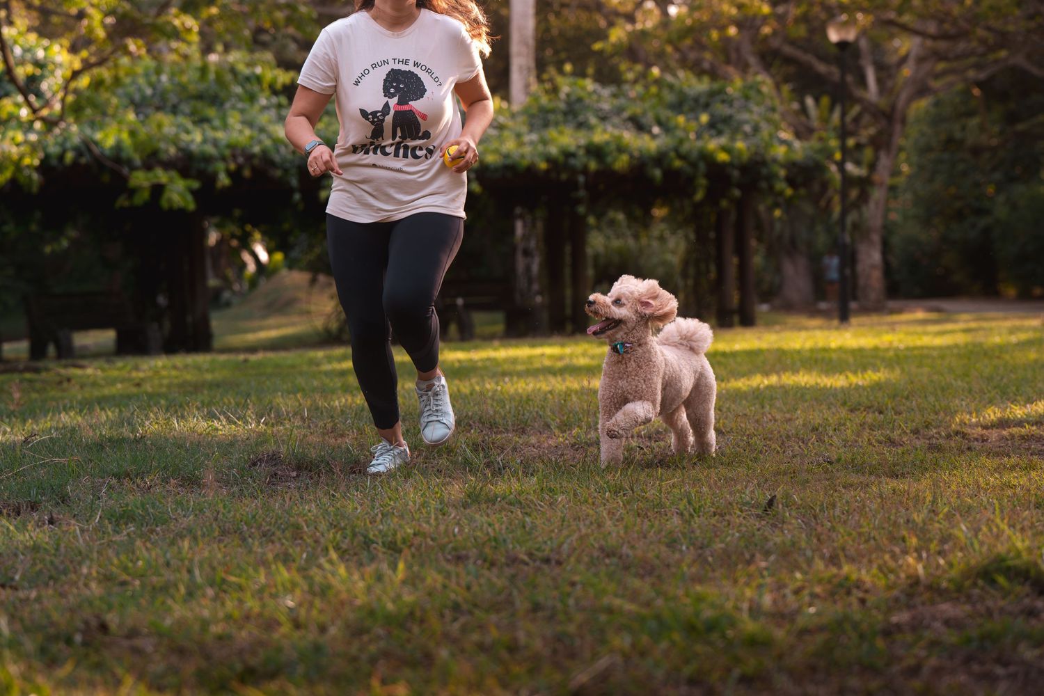Woman jogging with a fluffy beige poodle on green grass in a sunny park setting.