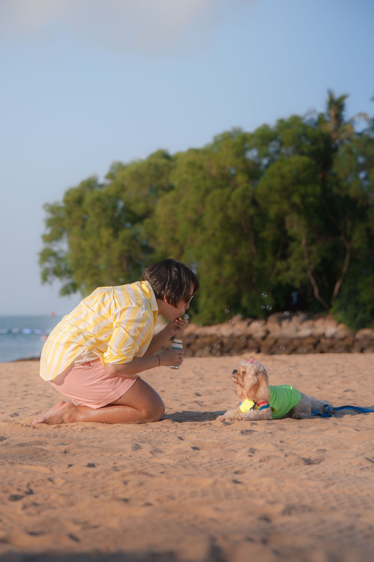 Woman in yellow top photographs her small dog in a green outfit on a sandy tropical beach at sunset.