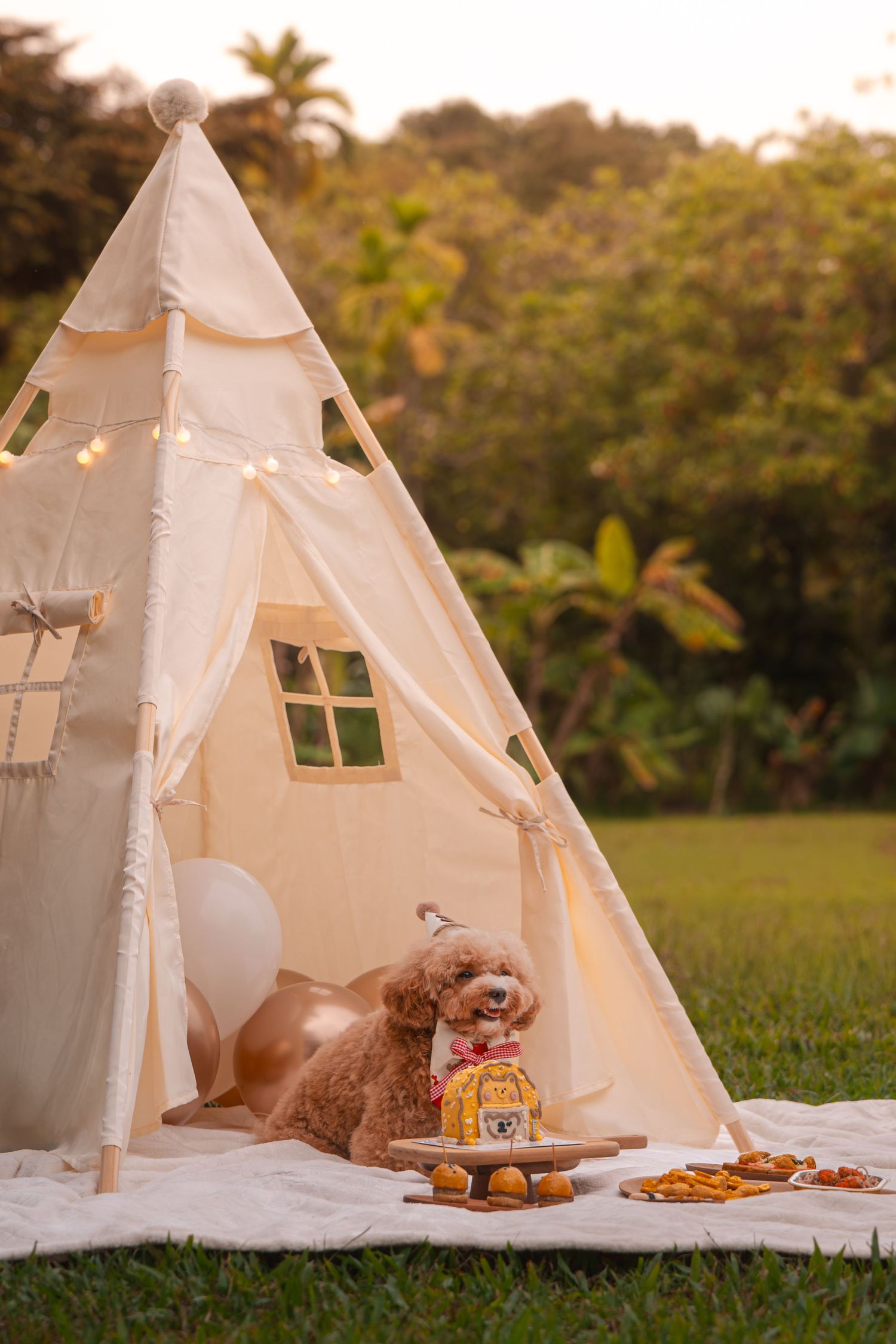 Three white canvas teepee tents set up on grass with picnic items and string lights for a cozy outdoor gathering.