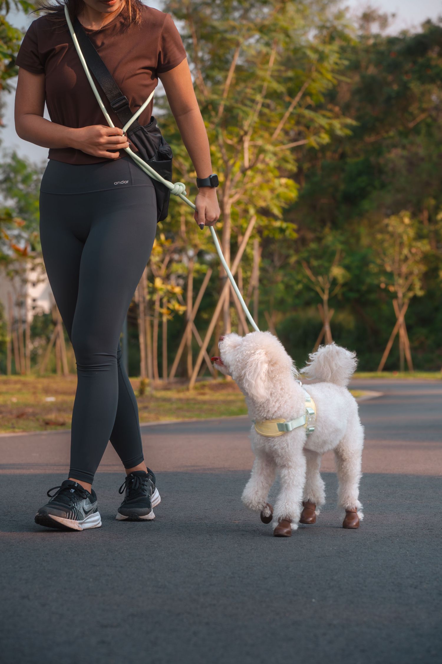 A small white dog on a leash walks alongside their owner on a paved path during golden hour.