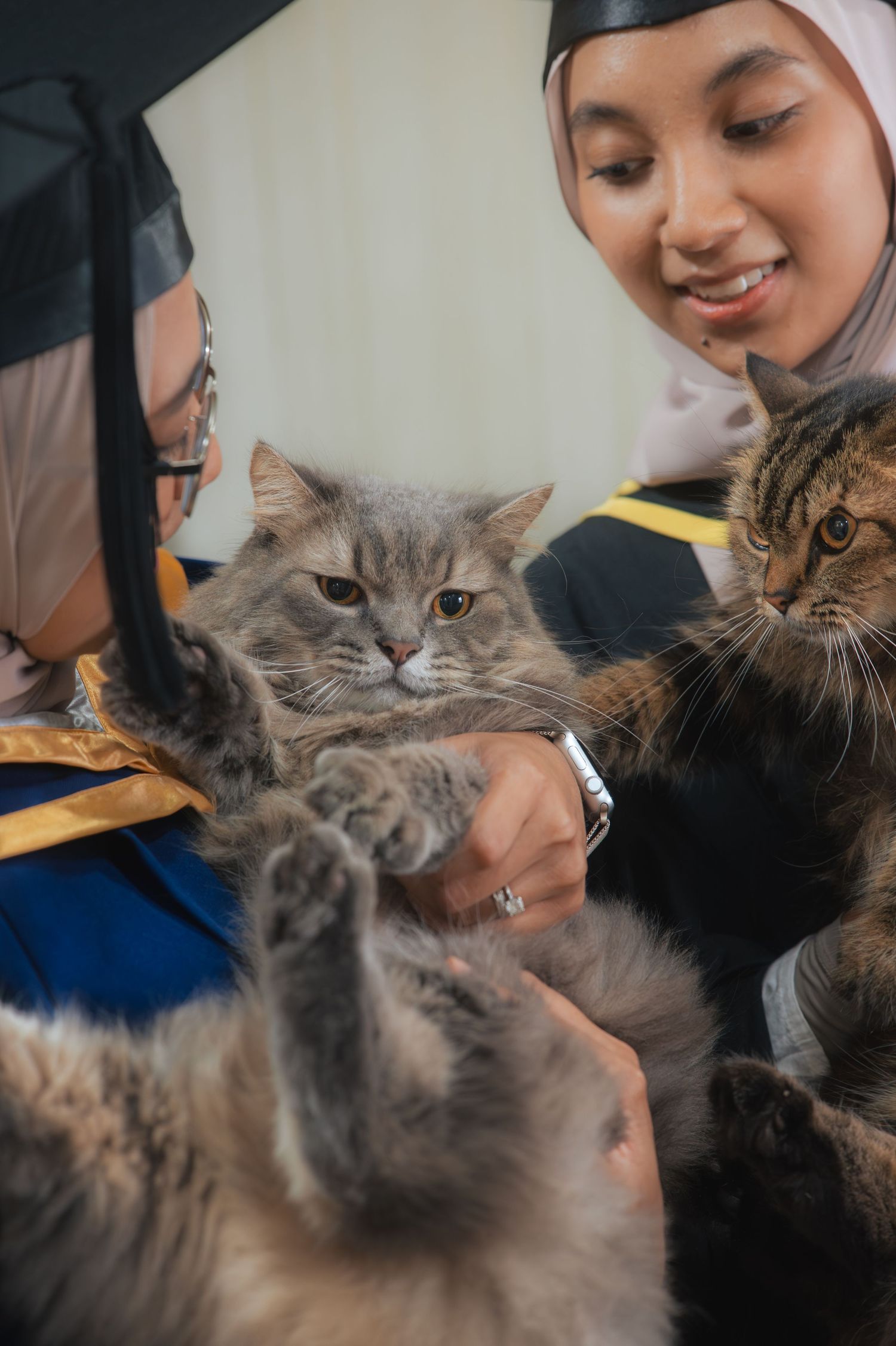 Two graduates in caps and gowns holding fluffy cats during a graduation photo session.