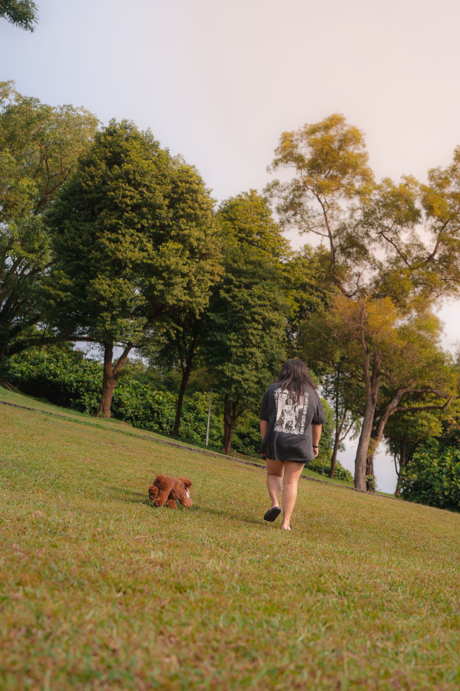 Woman walking a brown dog on a leash across a green grassy park with lush trees in the background.