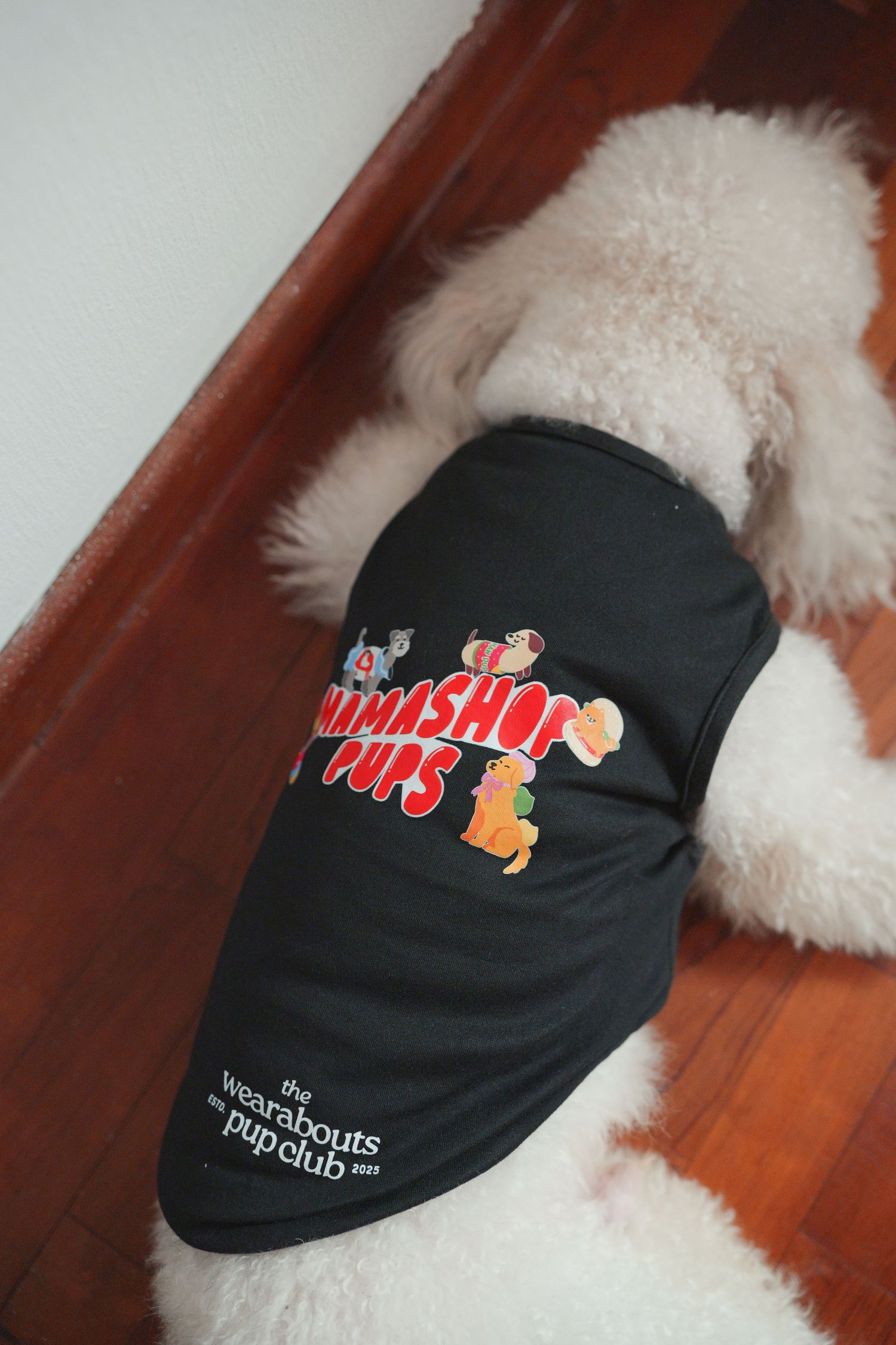 White fluffy dog wearing a black Wearabouts Pup Club pet tank top with colorful graphic print on stairs.