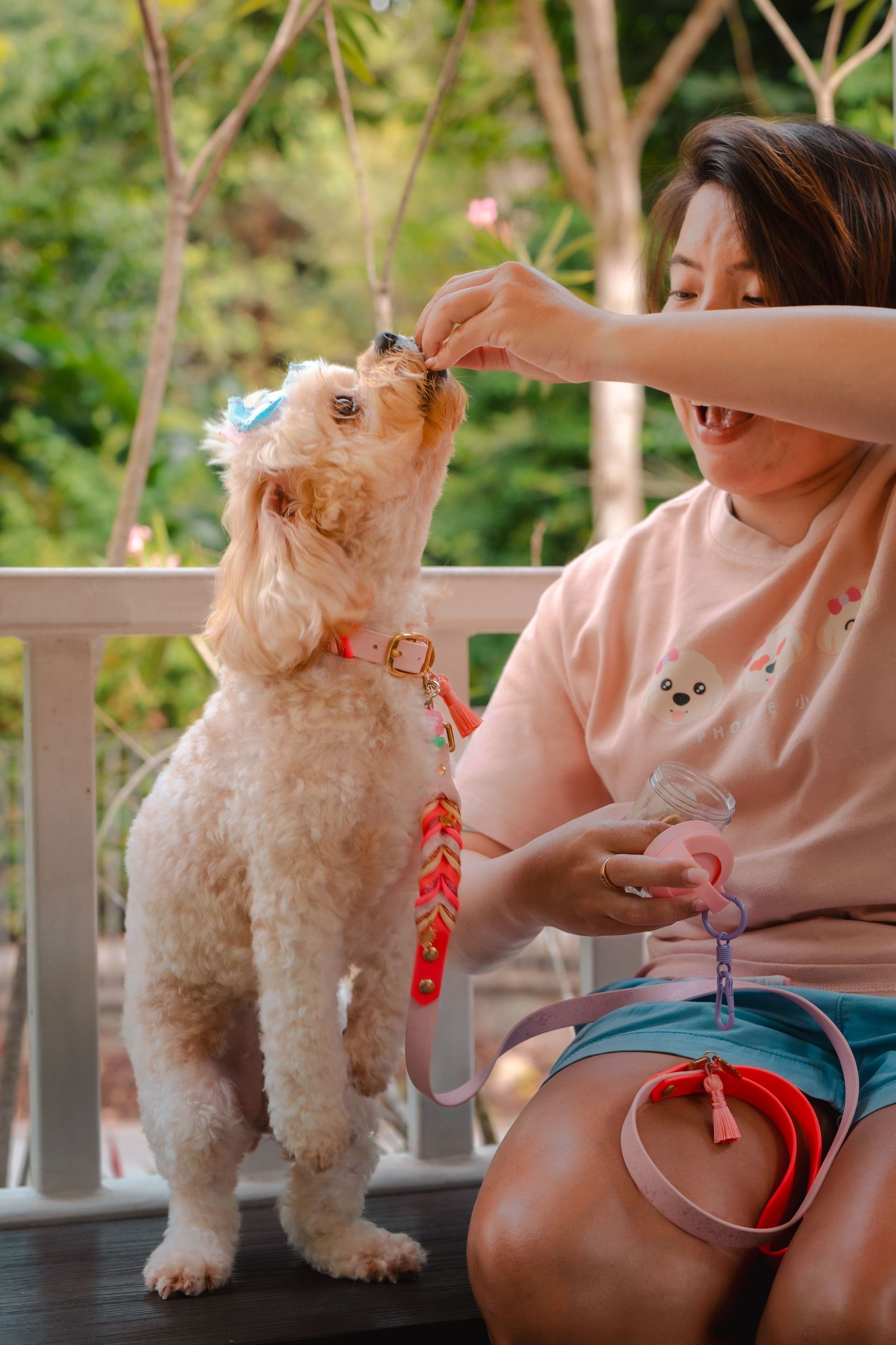 A fluffy white dog with a red leash sits on a porch with someone in a pink sweater.