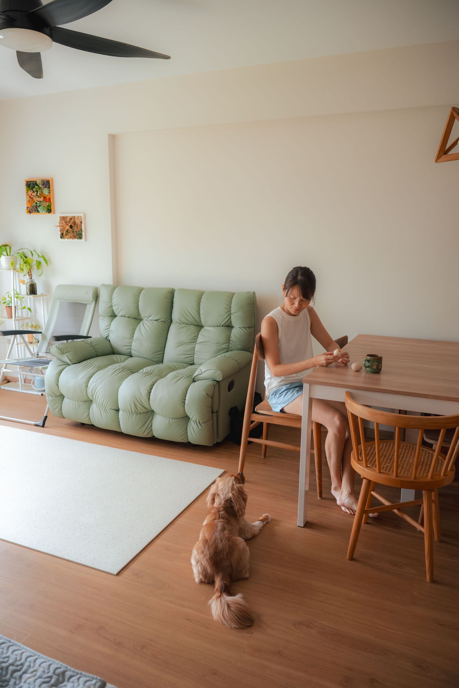 Woman sitting at wooden dining table with golden dog begging nearby, green sofa and modern living room decor in background.