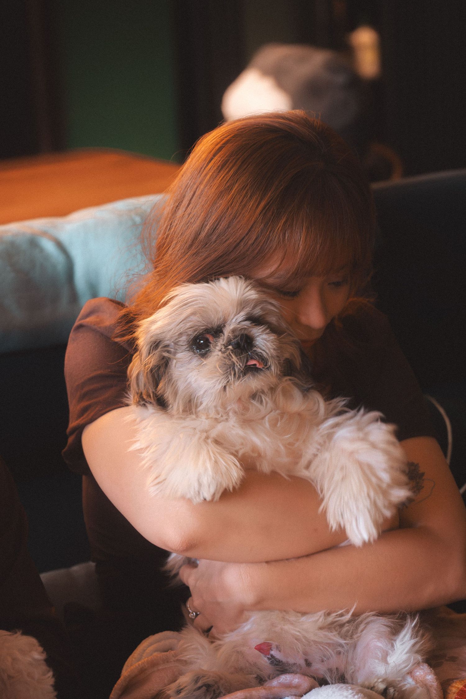 A small white fluffy dog sleeps peacefully on a brown couch cushion in dim lighting.