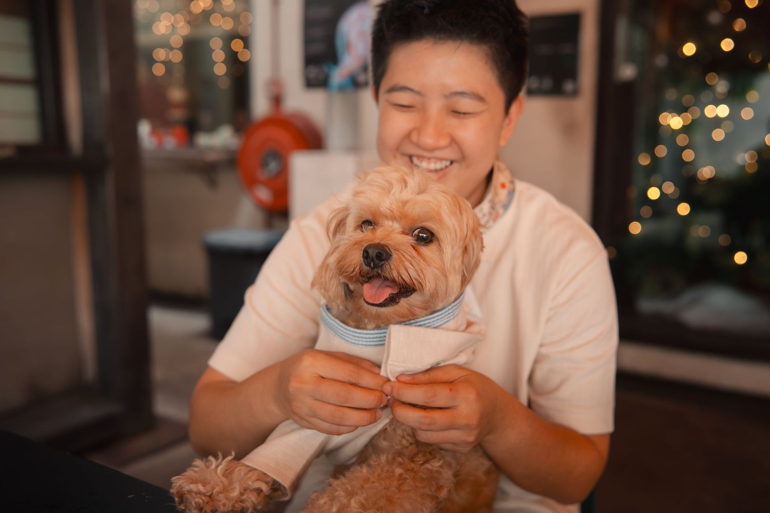 Person sitting on couch laughing while looking at smartphone with Christmas tree lights in background.