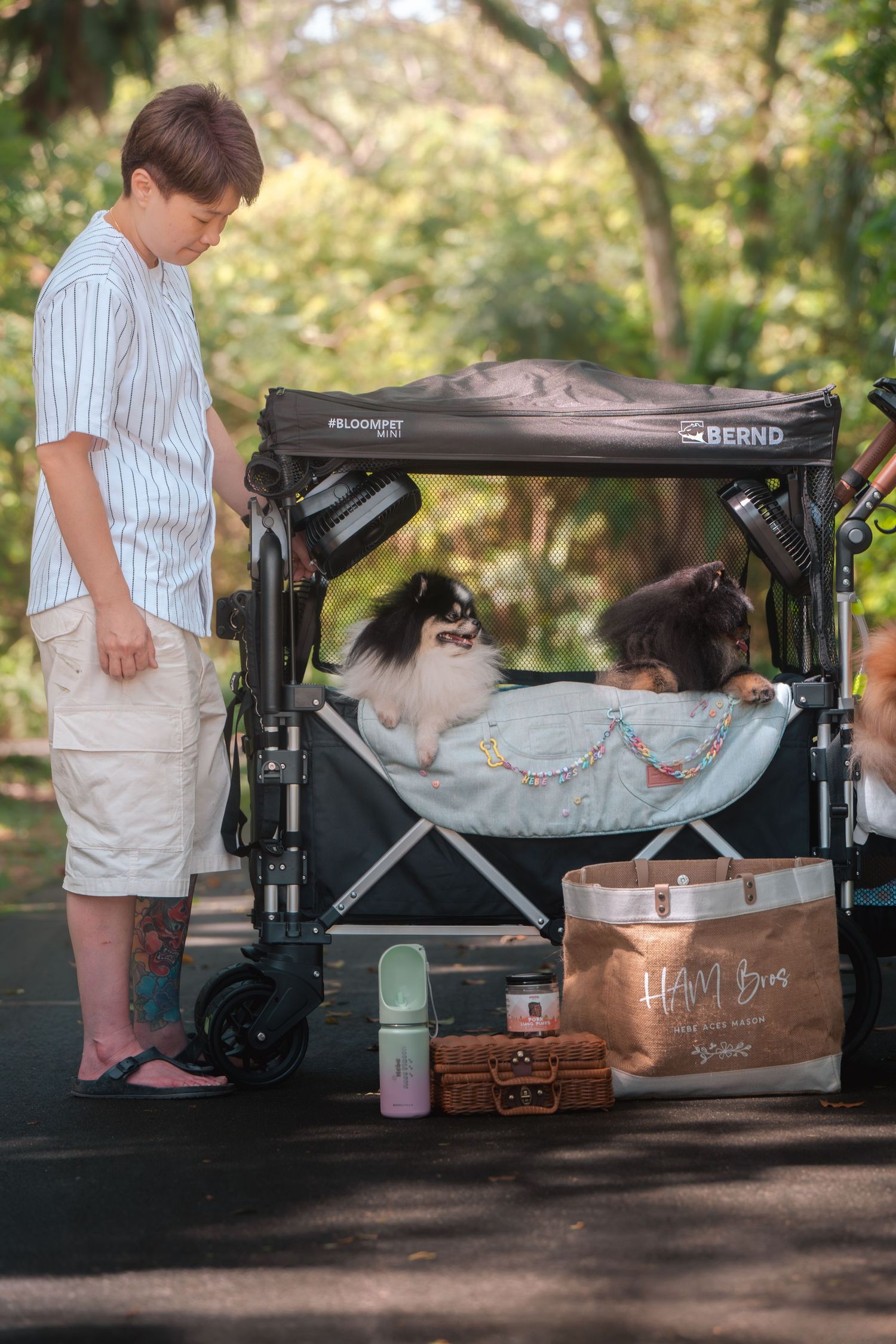 A cat lounges comfortably in a vintage sewing machine table repurposed as a unique pet bed in an outdoor setting.