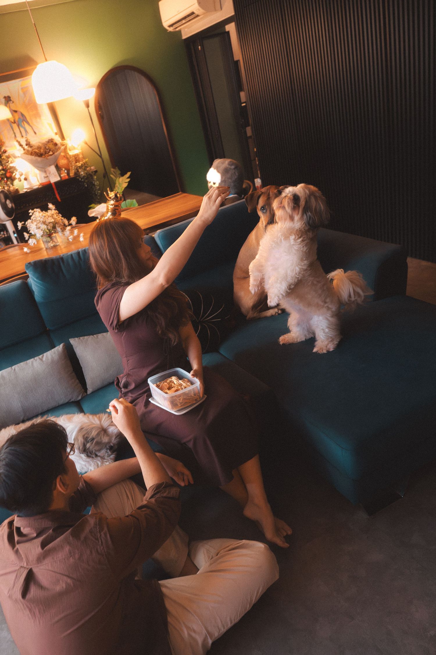 Family relaxing on teal sofa with fluffy dog, sharing snacks in cozy living room with warm lighting.