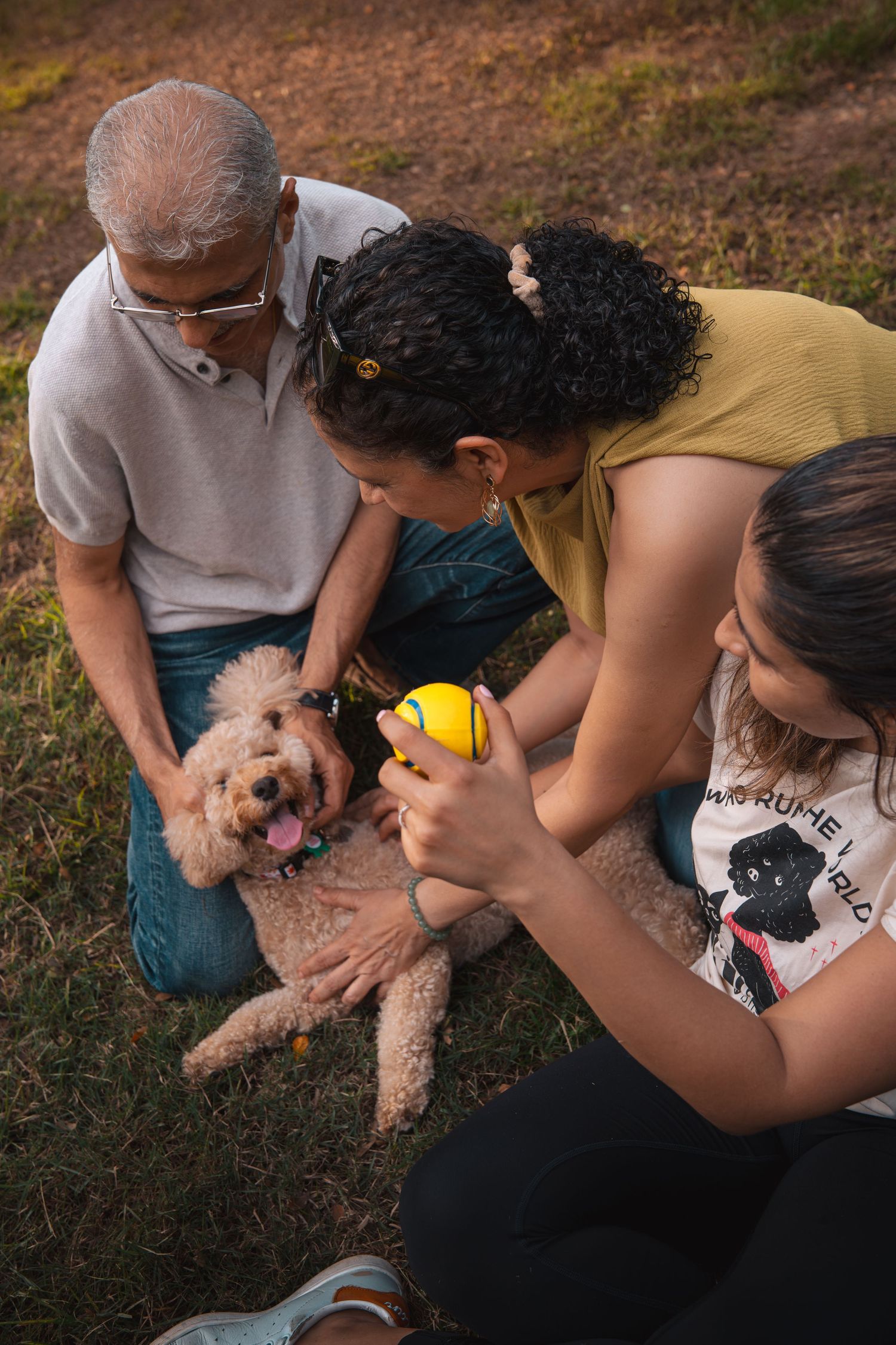 Family sitting on grass with a fluffy apricot poodle holding a yellow ball in a sunny park.
