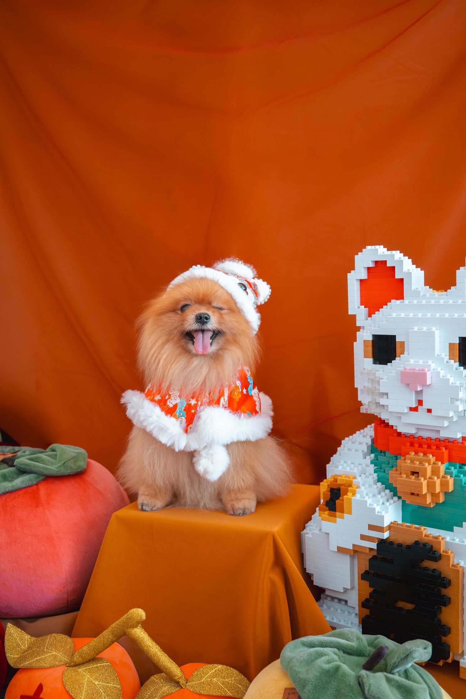 A fluffy Pomeranian in a Santa outfit sits beside a pixel-art cat figurine against an orange backdrop with pumpkin decorations.