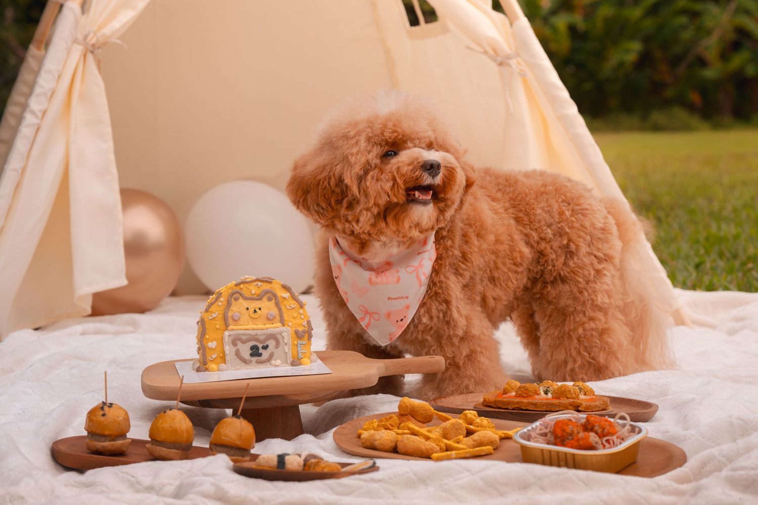Toy poodle puppy lies next to wooden board with assorted cookies and treats on white blanket outdoors.