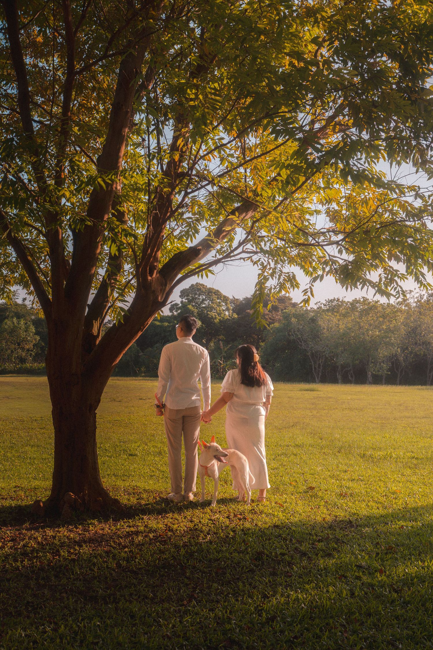 A couple in white outfits sits together under a large tree at sunset in a peaceful meadow setting.