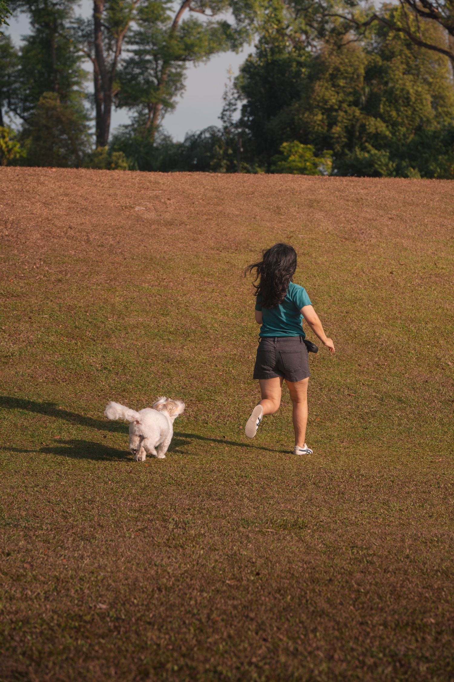 A girl in a teal shirt runs with a white fluffy dog on a grassy park lawn with trees in the background.