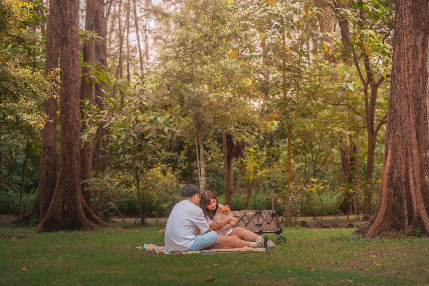 Couple sitting on a blanket in a lush green forest park, sharing a romantic outdoor picnic moment.