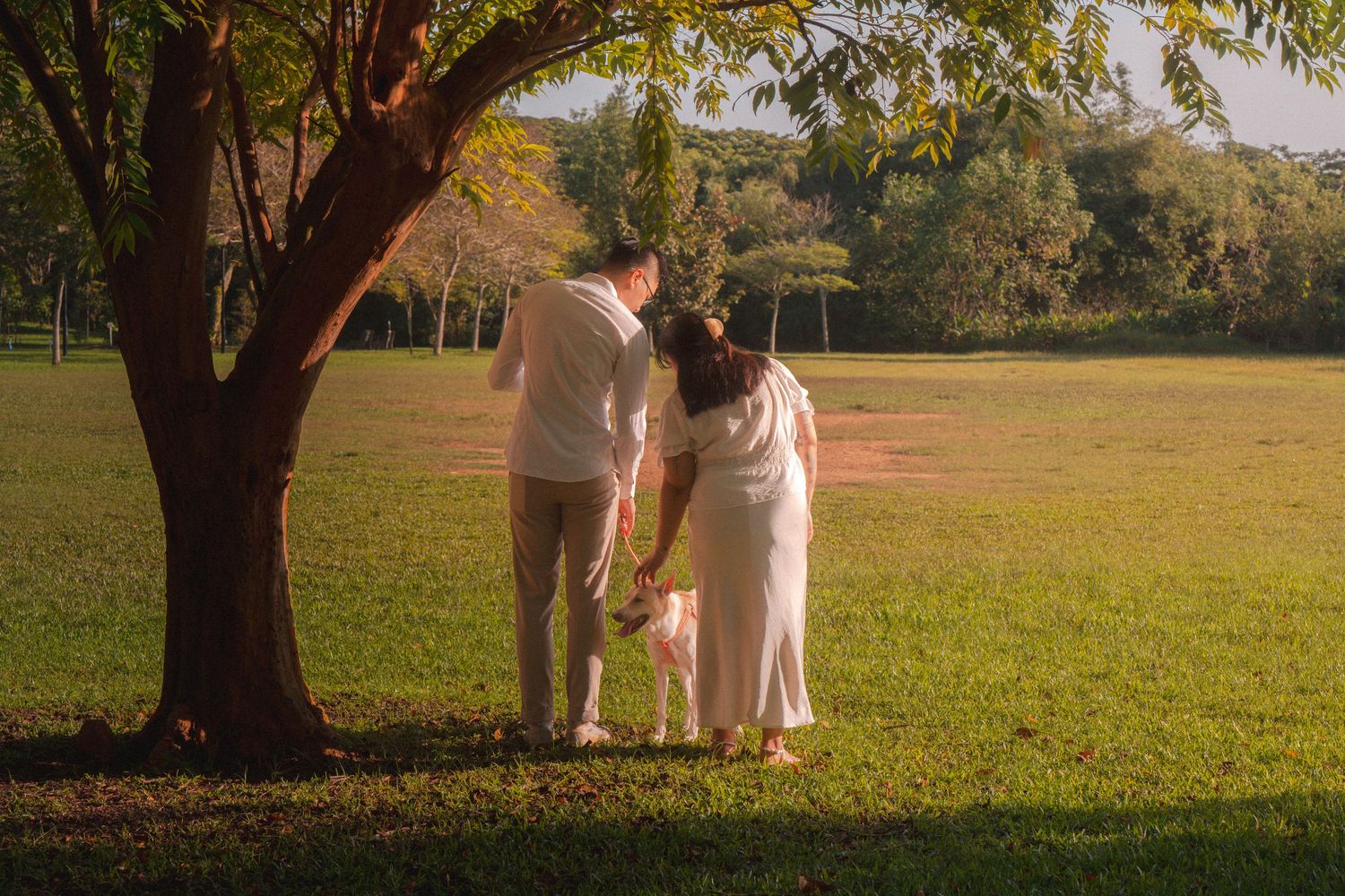 A family stands together under a tree in a sunlit park during golden hour, creating a peaceful outdoor scene.