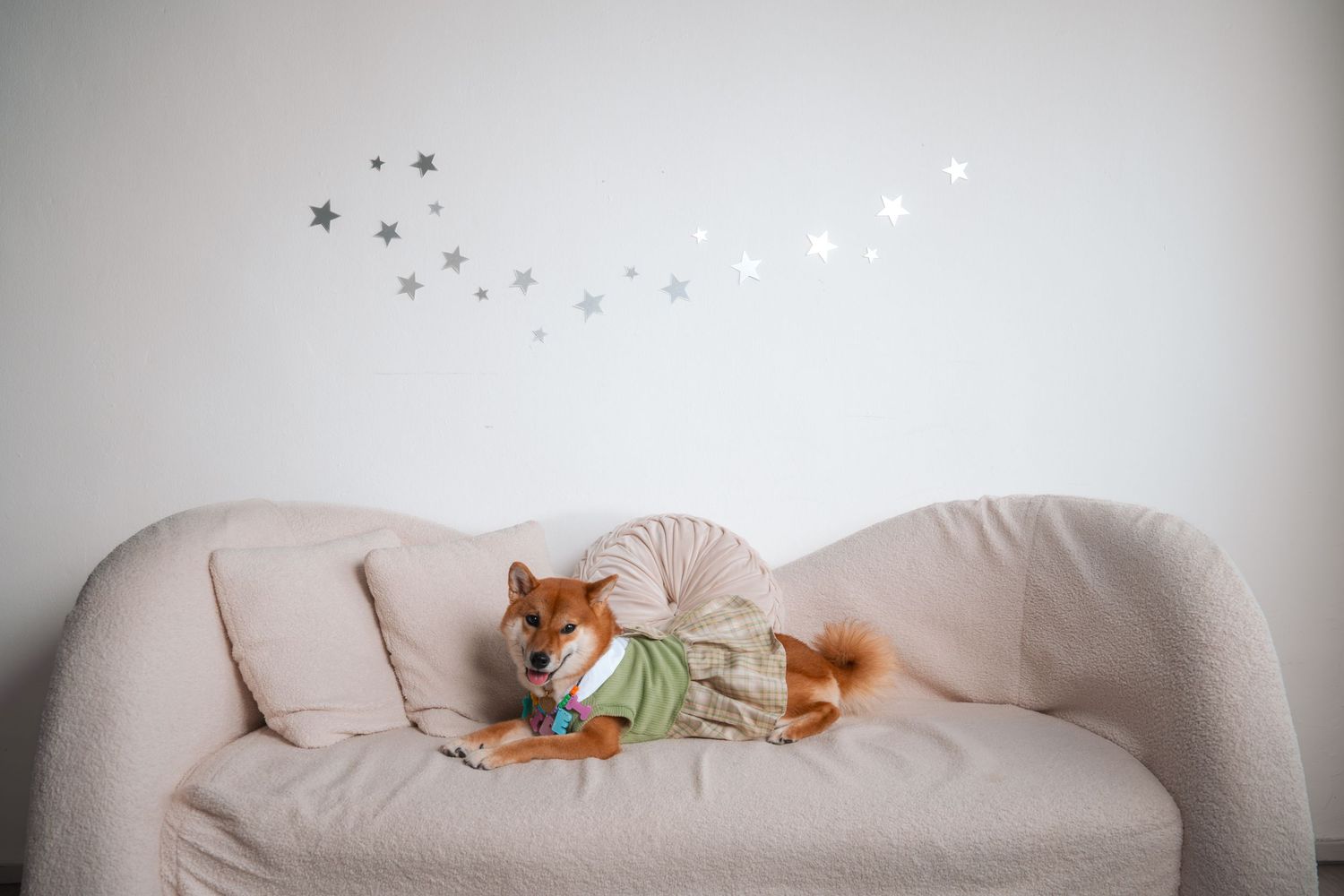 A Shiba Inu dog wearing a green outfit rests on a beige sofa with star wall decals in a cozy room.