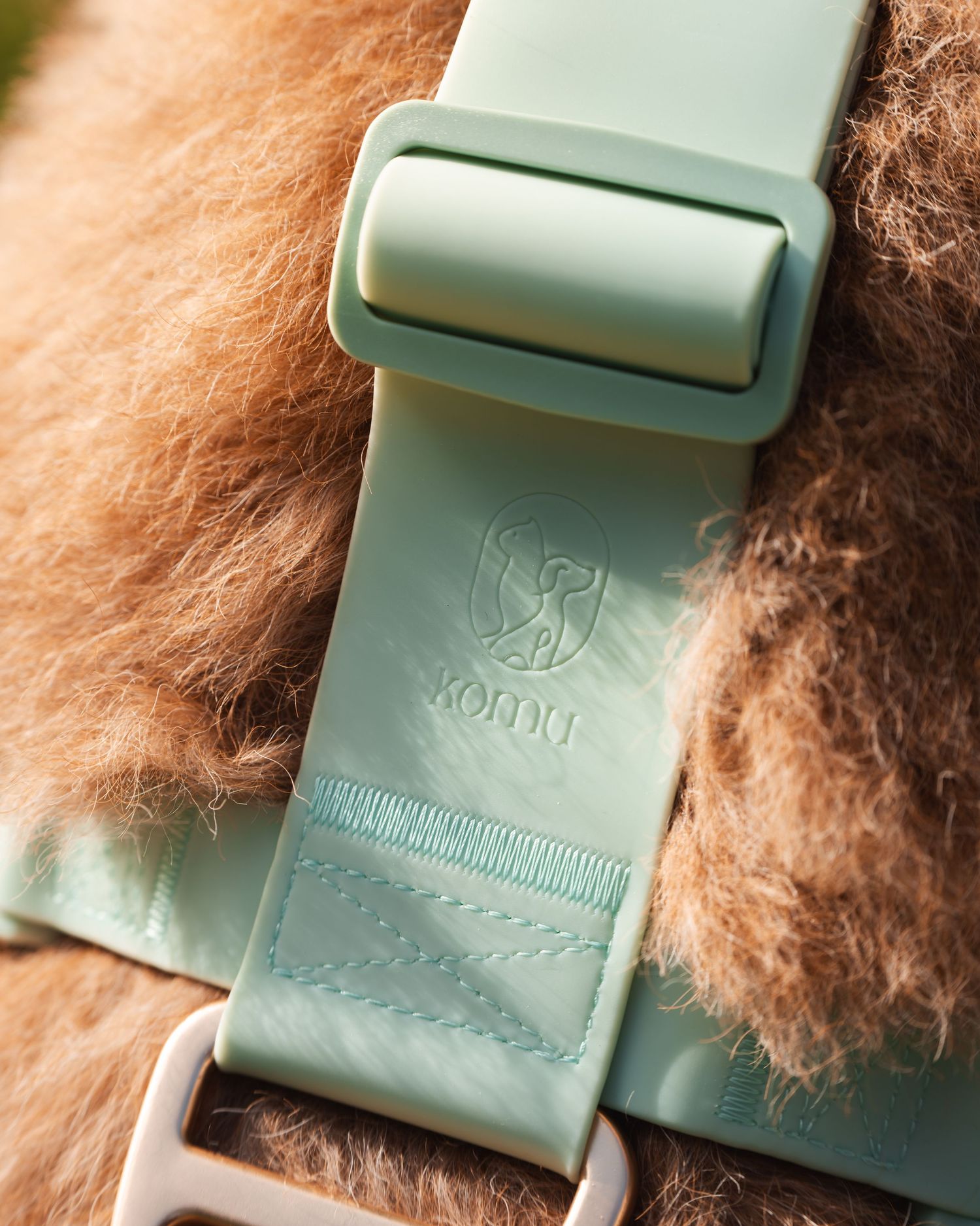Close-up detail of a mint green pet collar with decorative patterns.