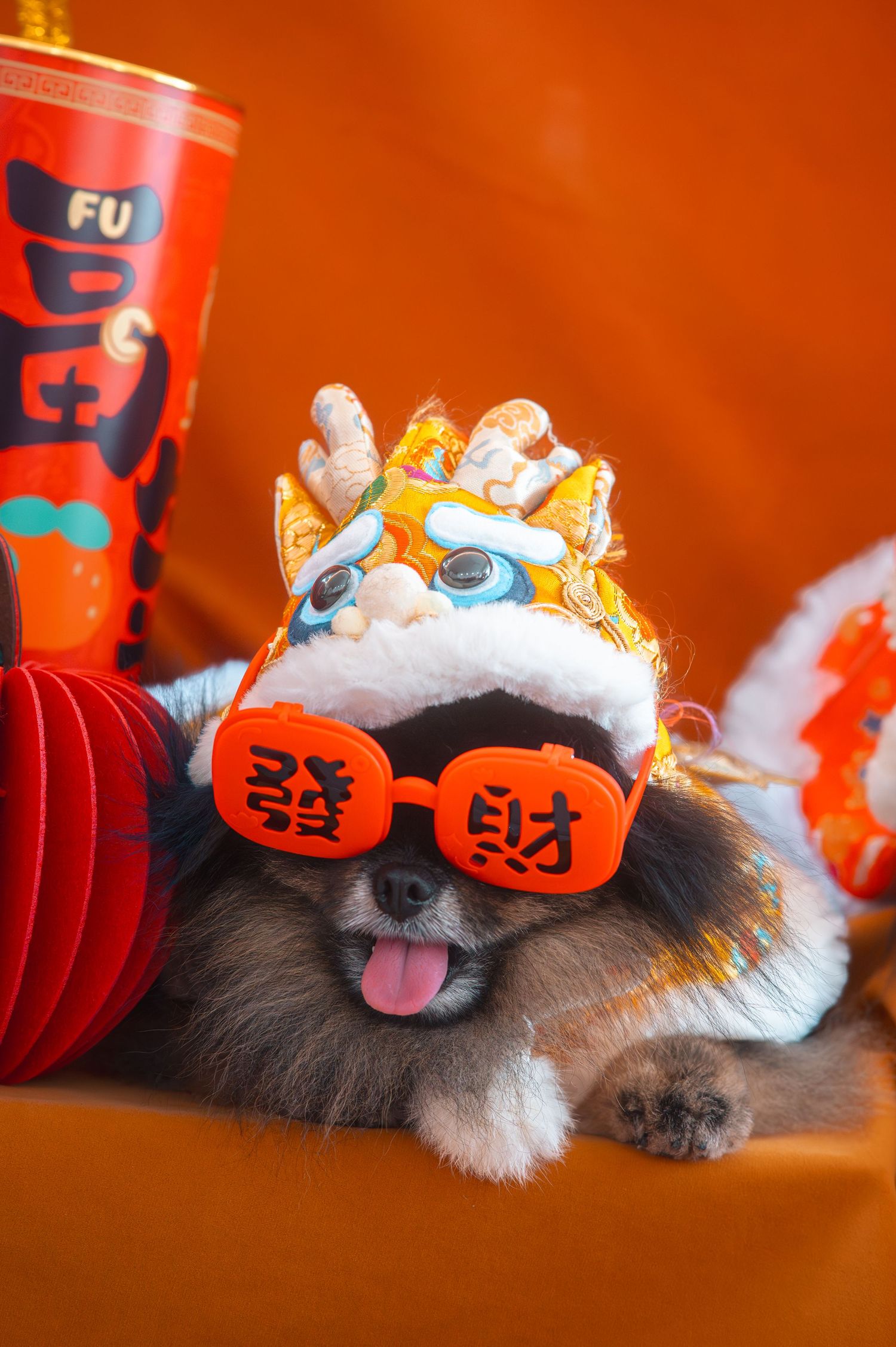 Adorable Pomeranian dog wearing Chinese New Year lion dance costume and orange sunglasses with lucky characters on orange background.