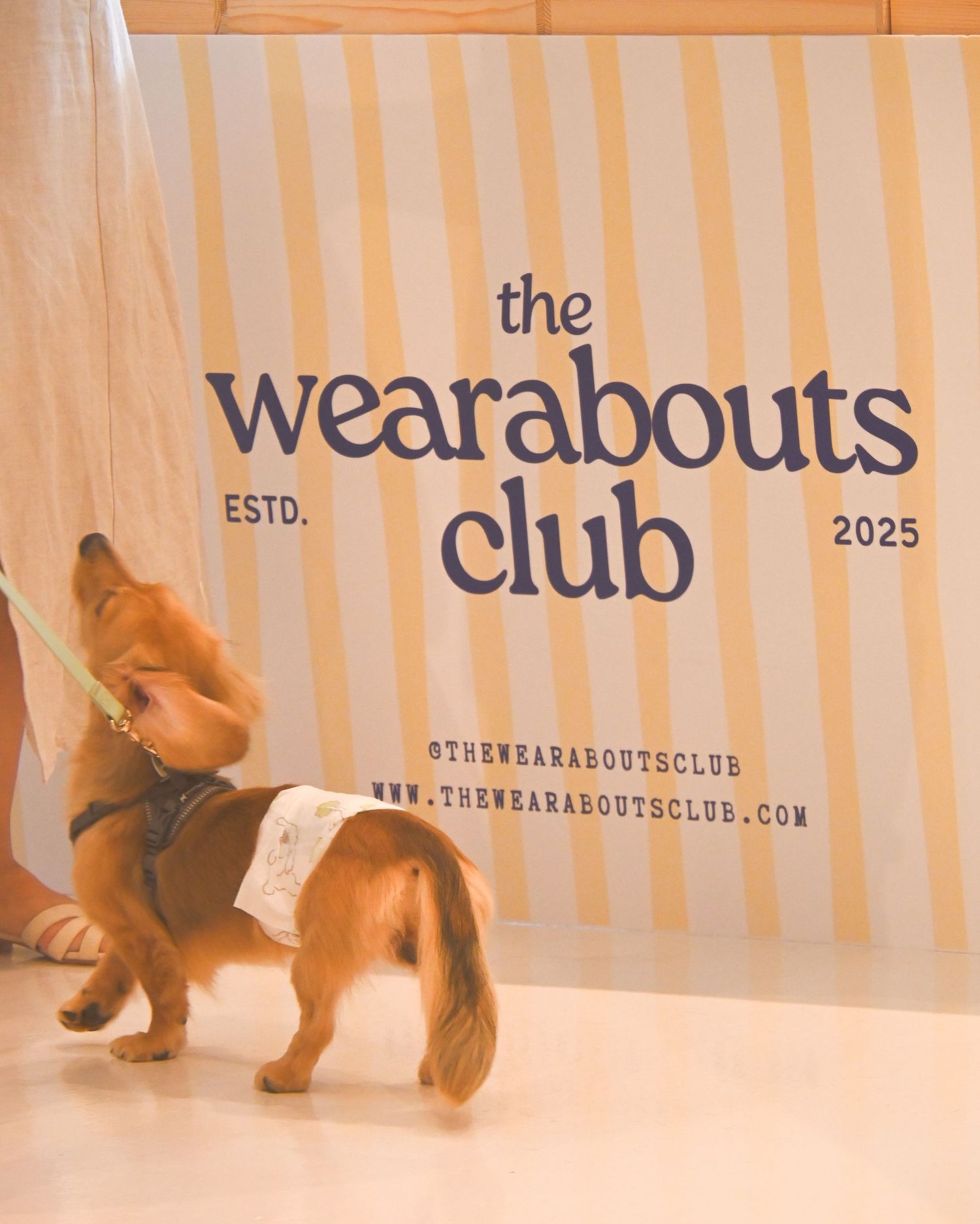 The Wearabouts Club branding displayed on a striped wall.