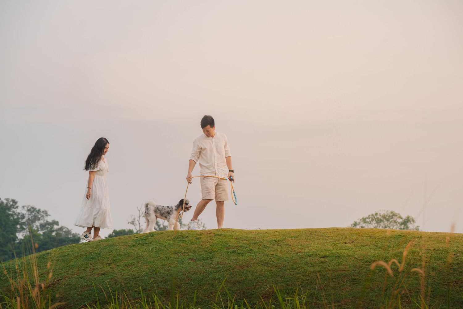 Couple in white outfits walking a dog on a lush green hill at sunset.