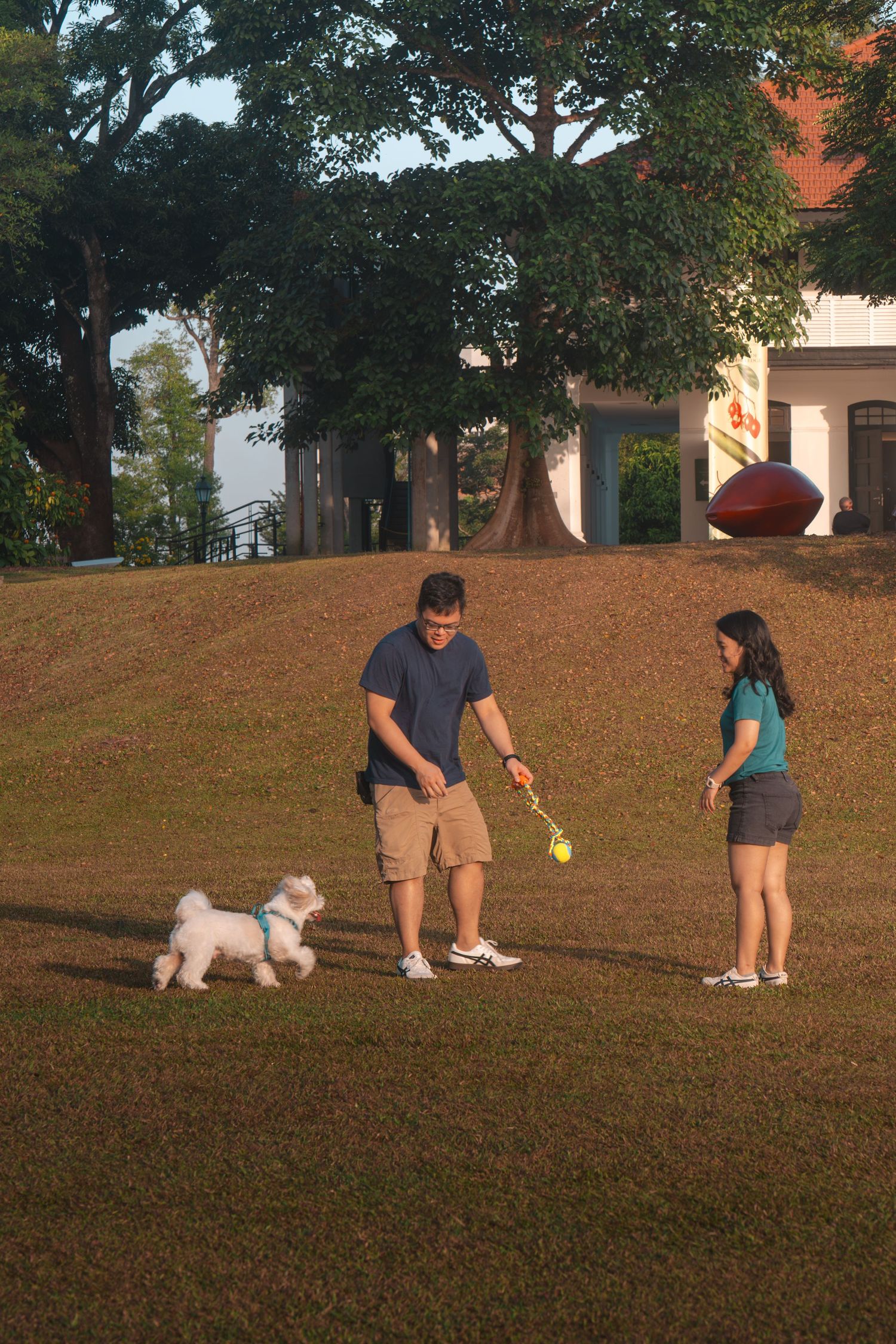 A couple plays with their small white dog on a grassy lawn near a house surrounded by trees.