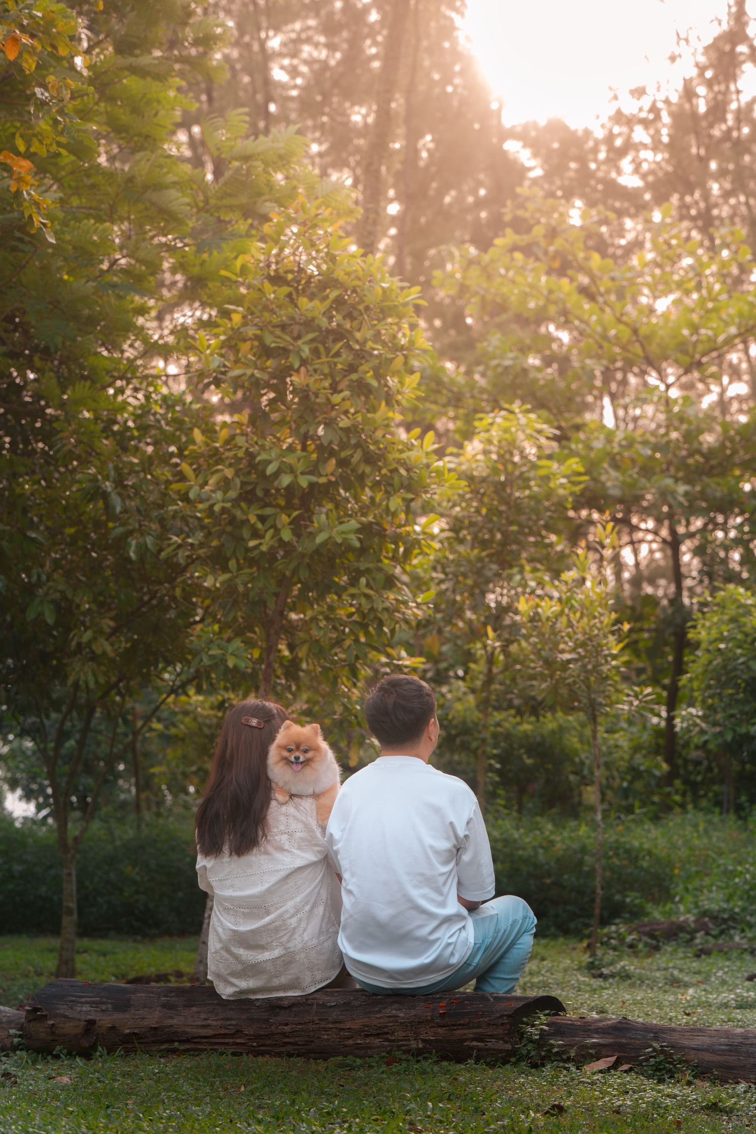 Two children sit on a log in a sunlit park, facing lush green trees, with a small Pomeranian dog beside them.